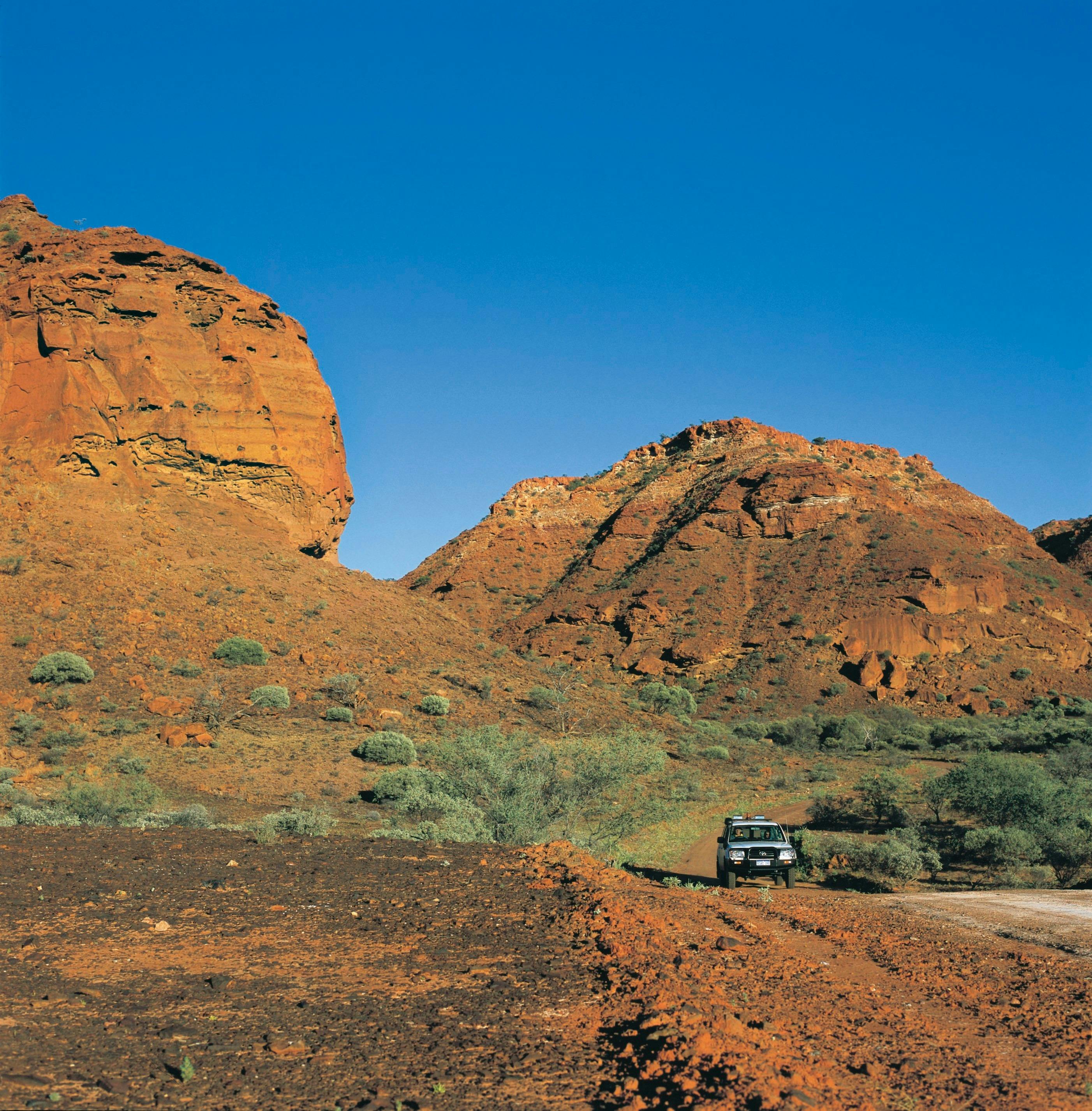 Northern Explorer Wildflower Trail, Kennedy Range, Western Australia
