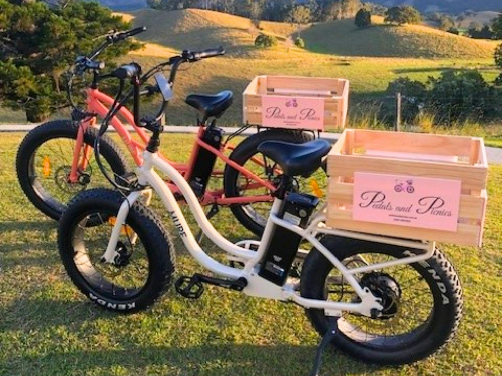 Pedals and Picnics E-bike hire Northern Rivers Rail Trail