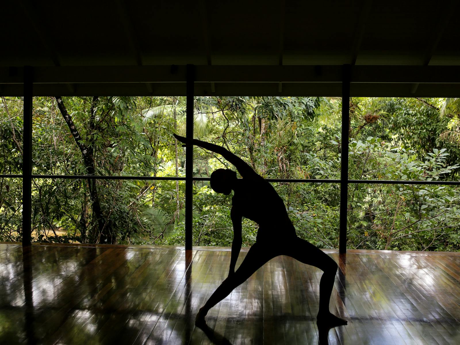 Image for Silky Sanctuary
