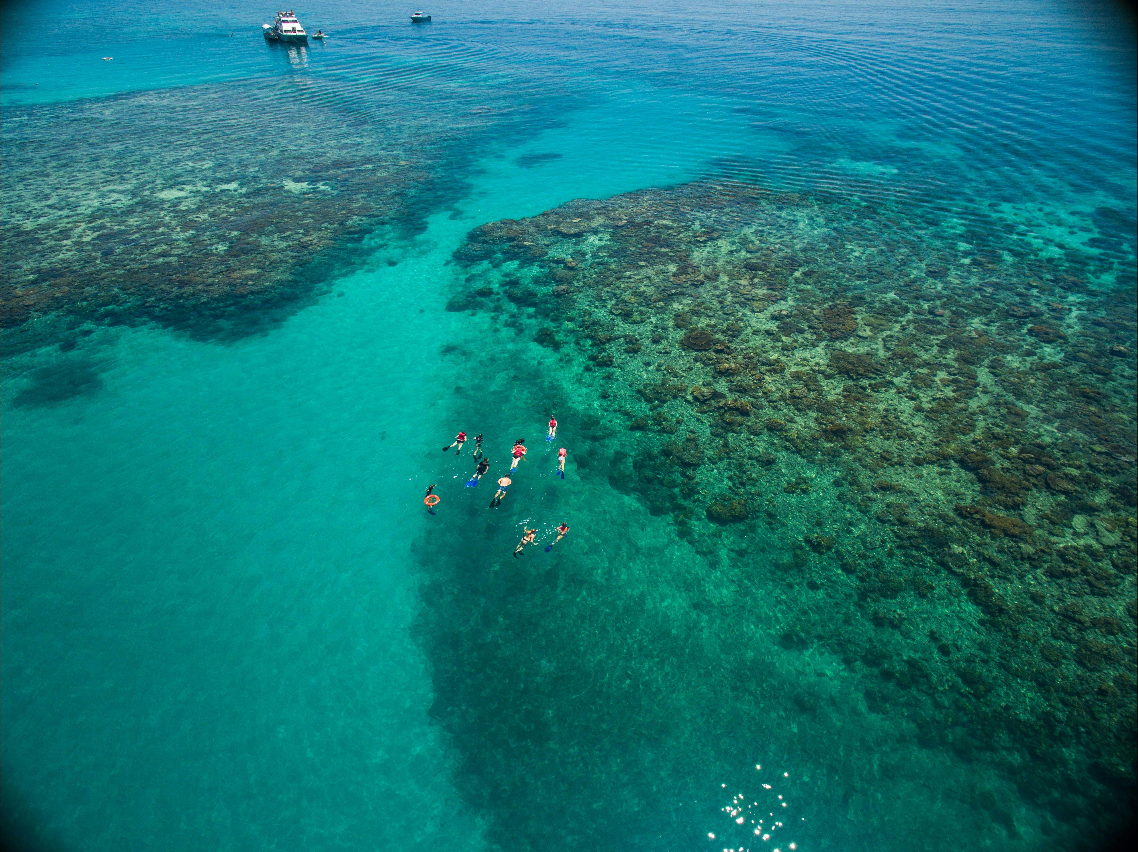 Snorkelling tour "Wonder Wall" - Outer Edge Upolu Reef