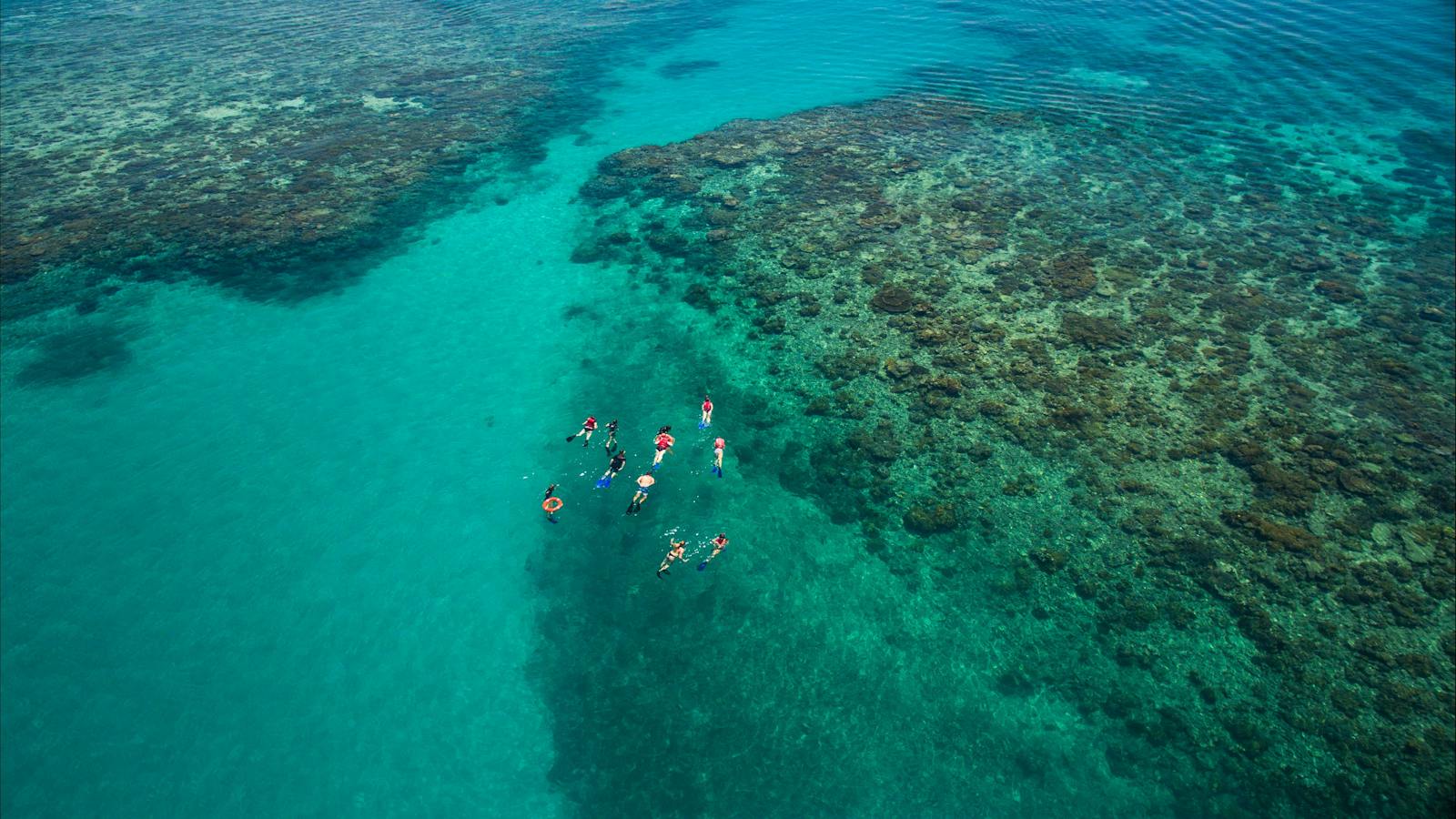 Ocean Freedom Snorkel Tour