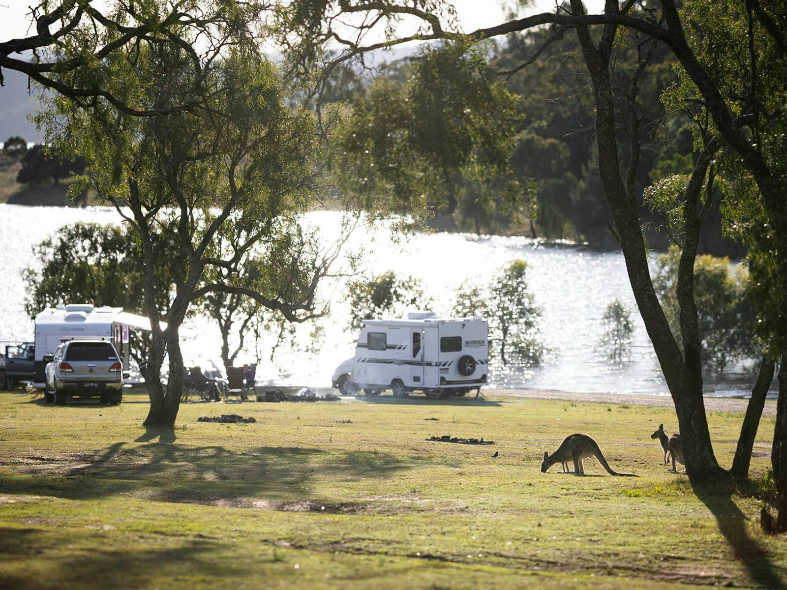 Lake Glenbawn camping