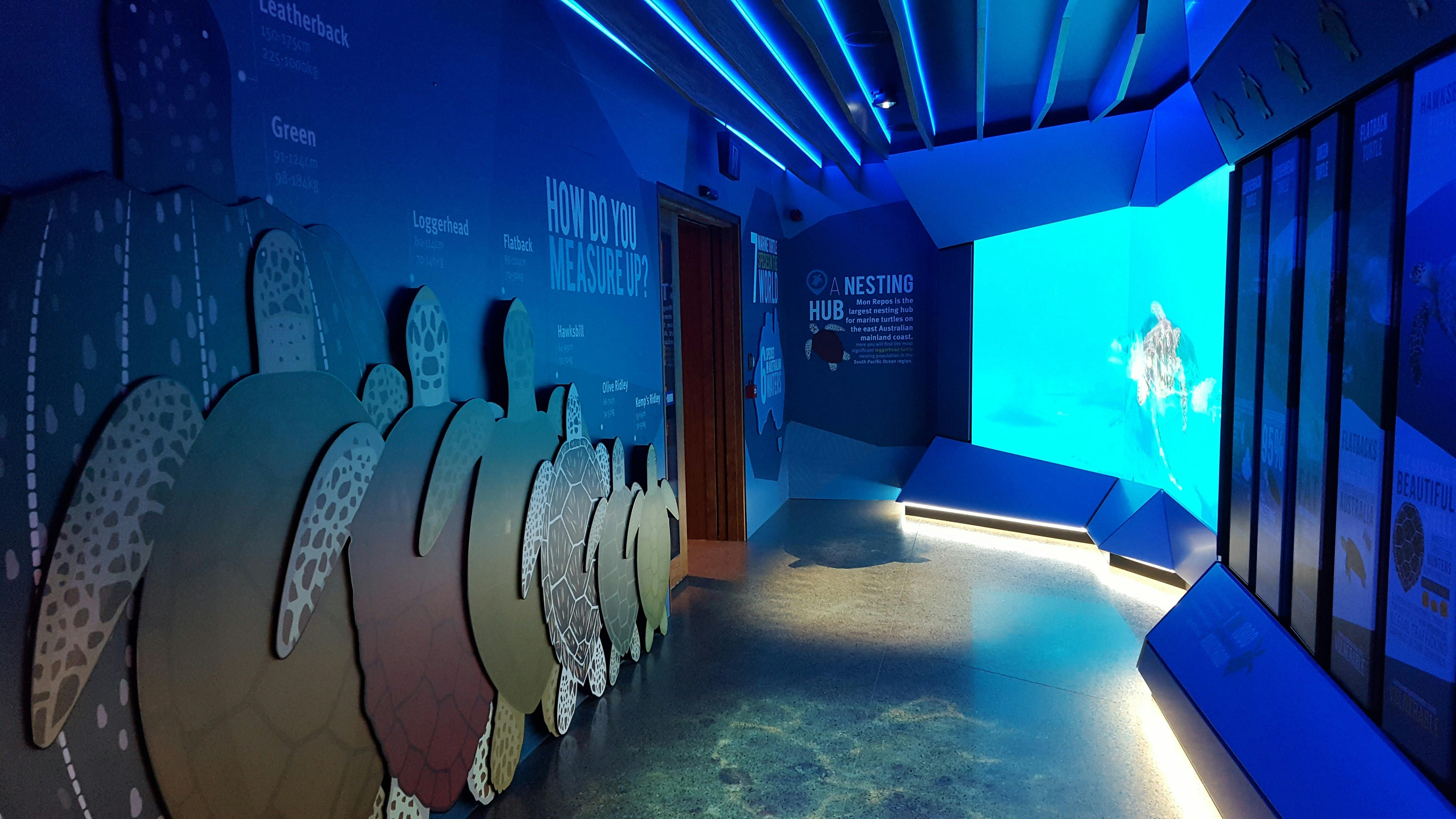 A walkway lit in blue with educational facts and turtle displays lining the walls.