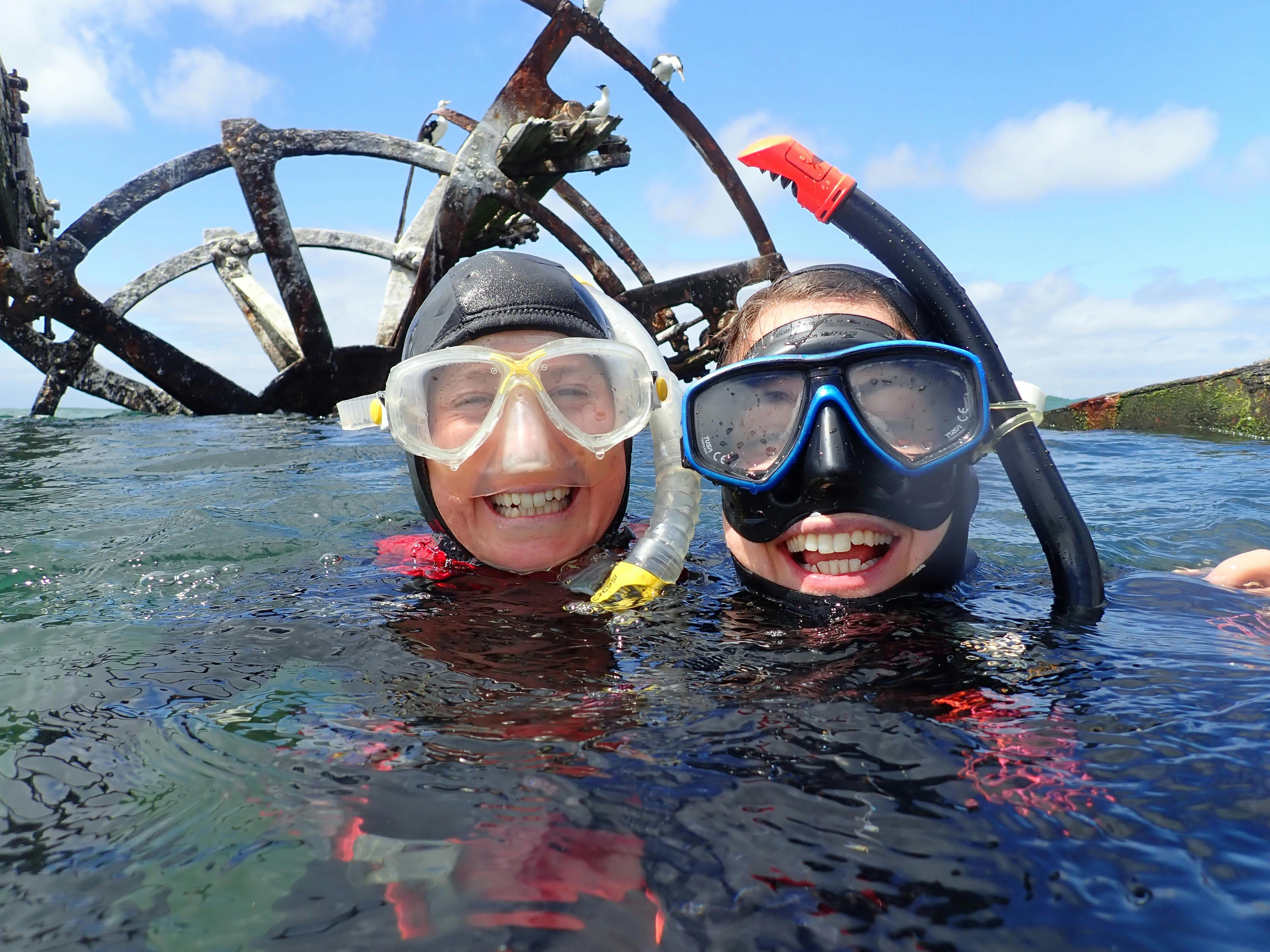 snorkeling in Port Phillip Bay