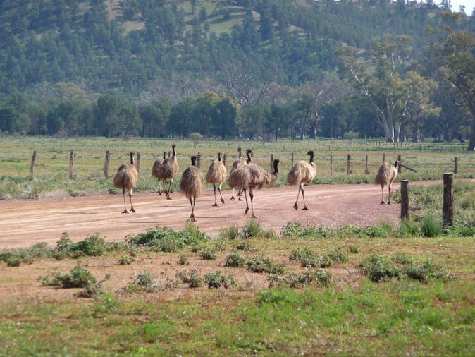 4 Day Flinders Ranges Tour SWTFR04