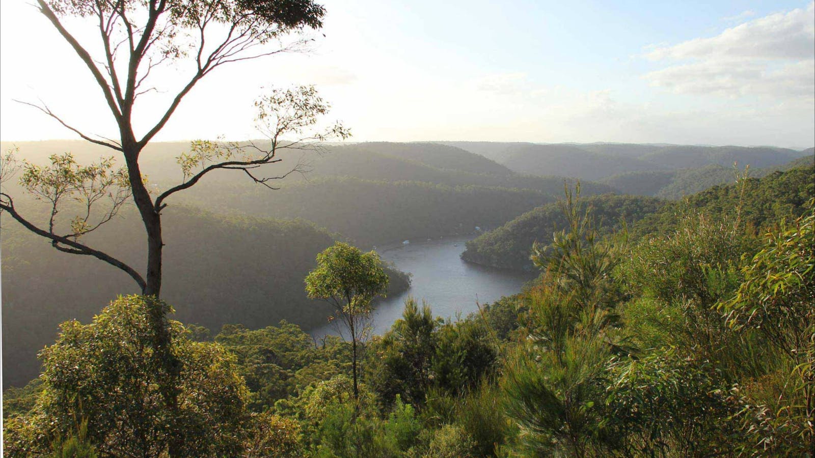 Great North walk - Berowra Valley National Park