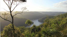Great North walk - Berowra Valley National Park