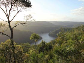 Great North walk - Berowra Valley National Park