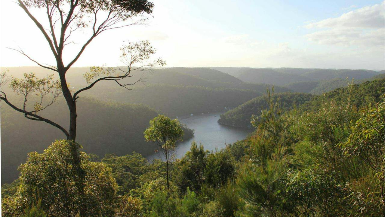 Great North walk - Berowra Valley National Park