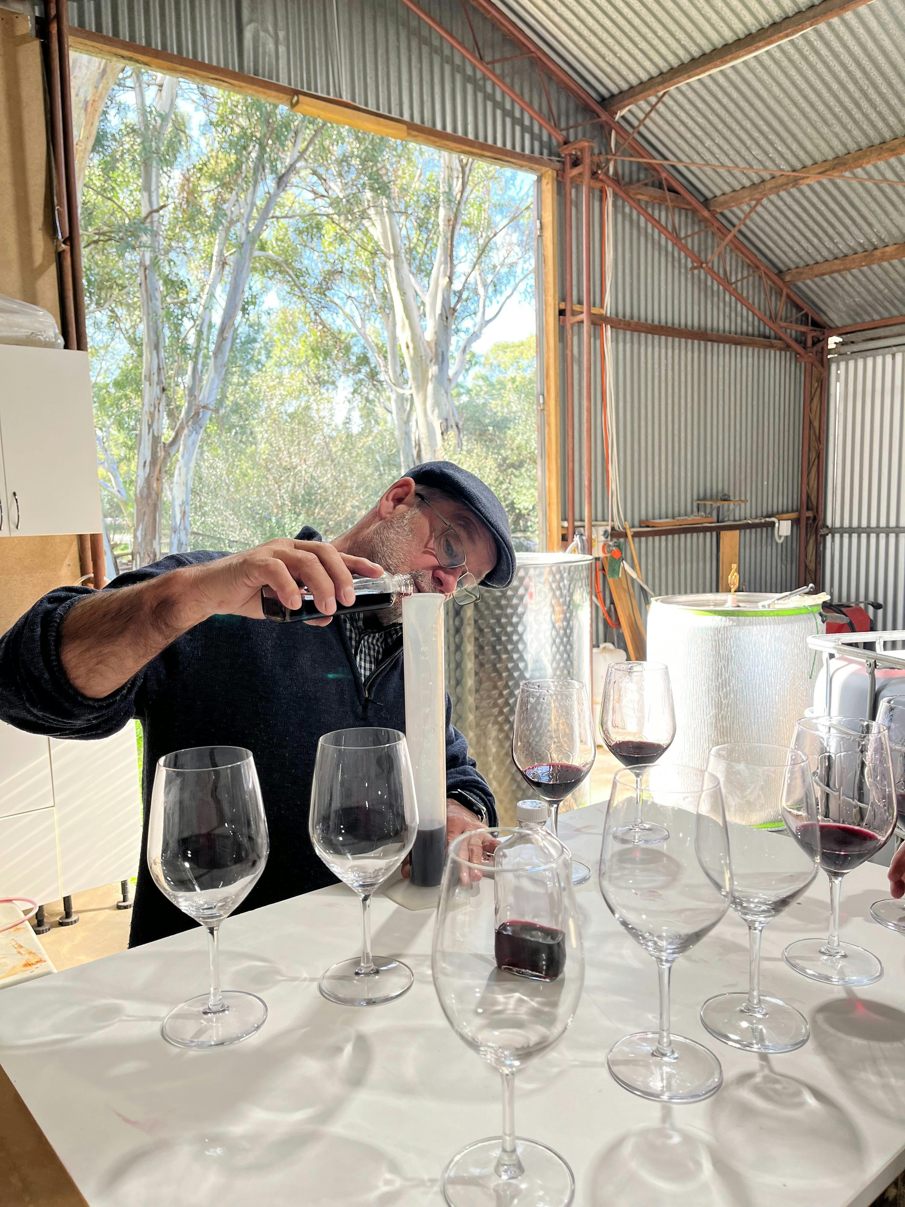 SummerVines:  Winery Experience