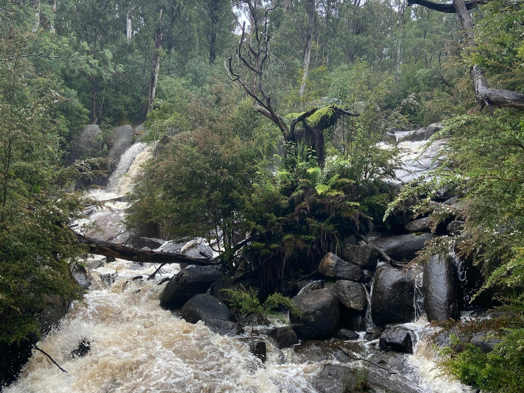 Murrindindi Cascades