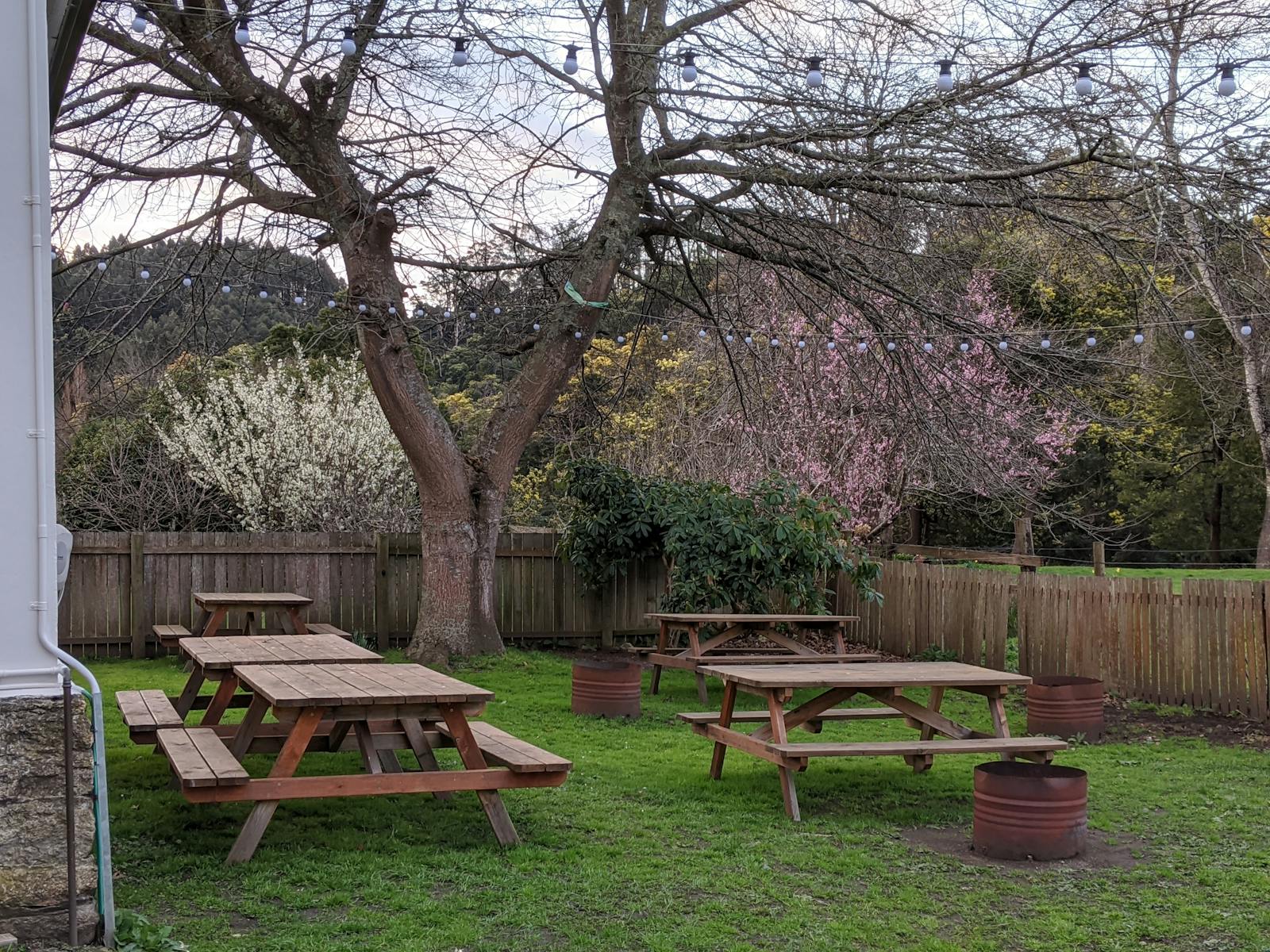 Beer garden