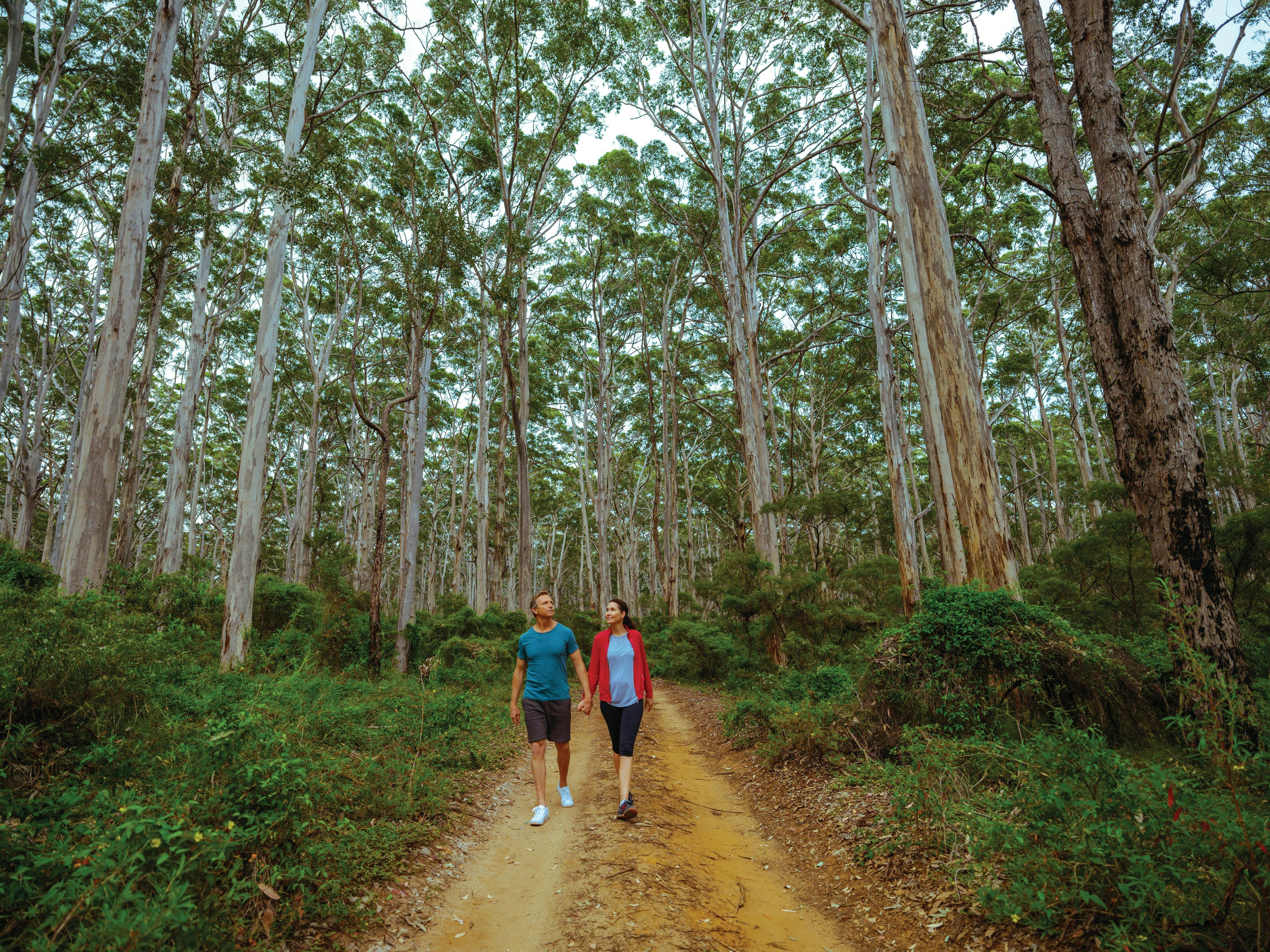 South West and Golden Outback itinerary, Boranup, Western Australia