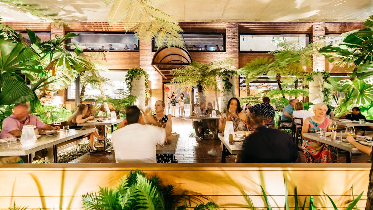 Lush Jungle at Southside