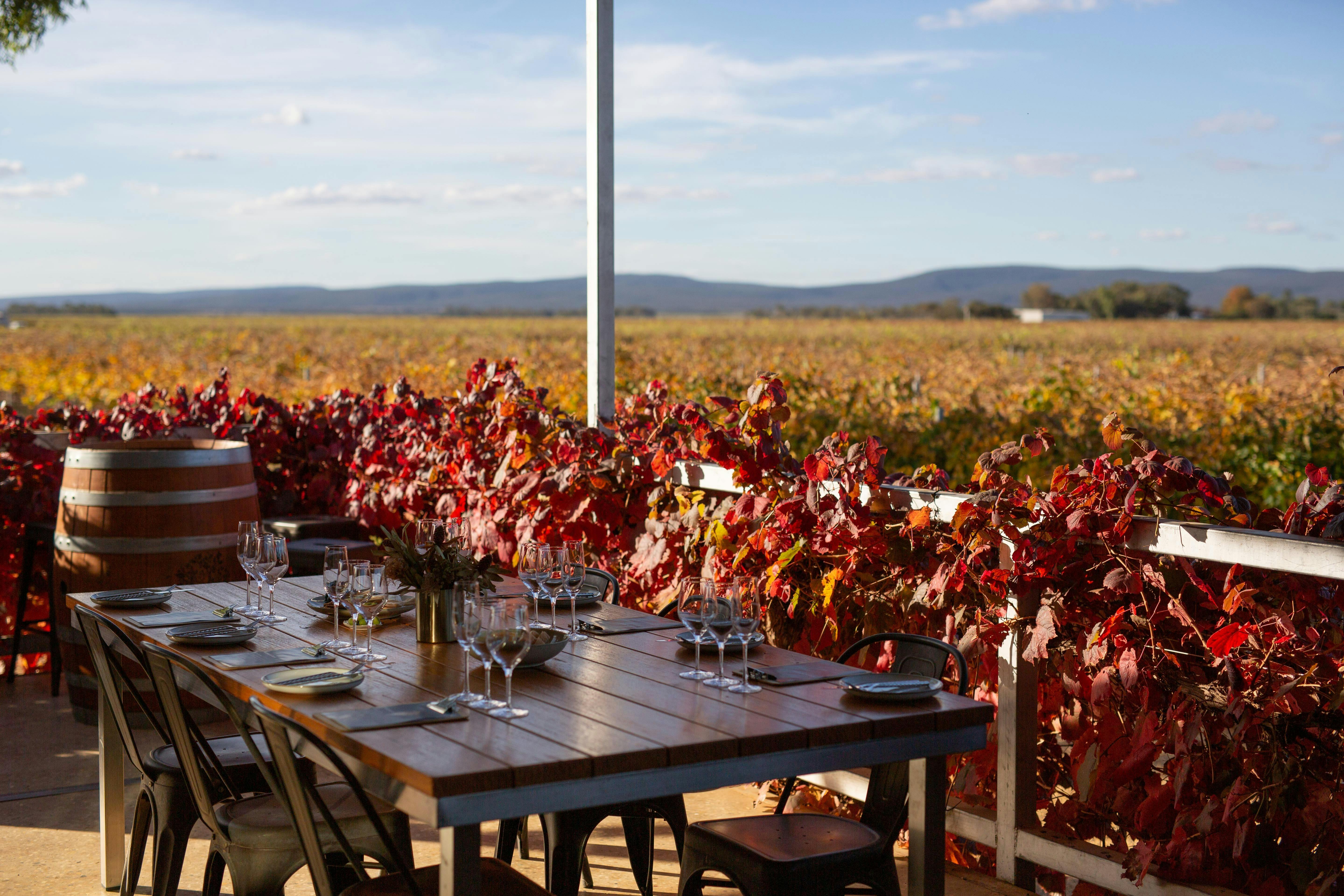 Enjoy the views at Yarran