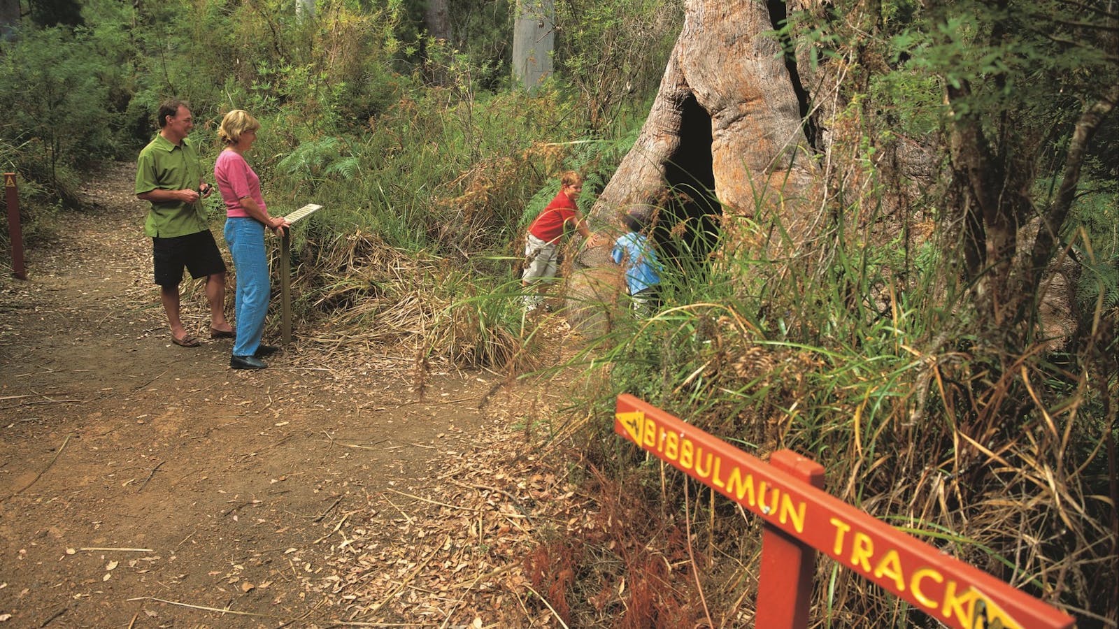 Walpole-Nornalup National Park
