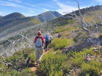 Exploring the High Country with Hedonistic Hiking