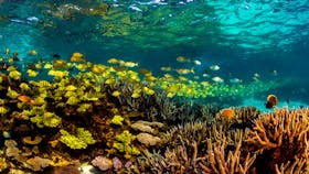 Ningaloo Reef