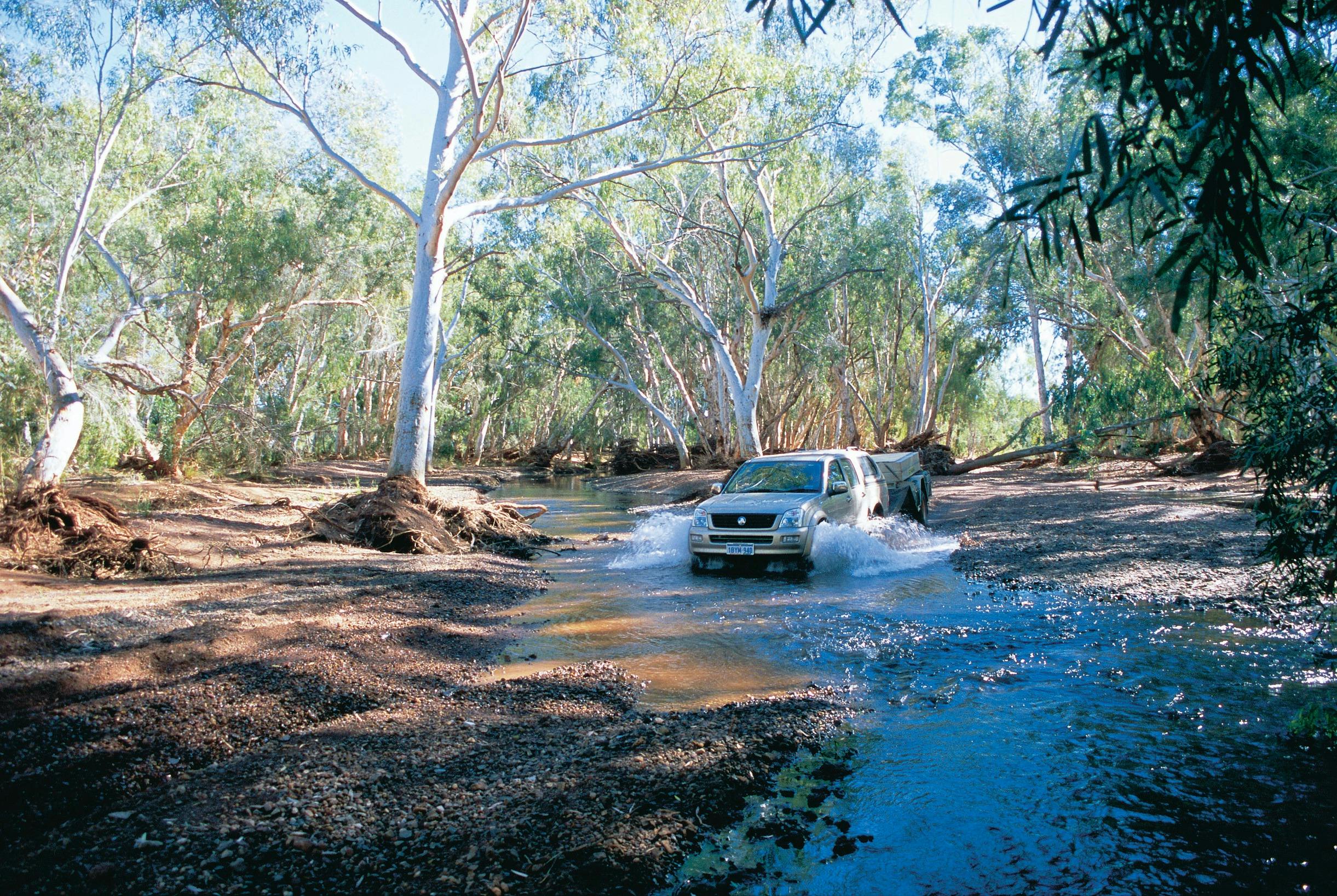 Pilbara Wildflower Trail, Nullagine, Western Australia