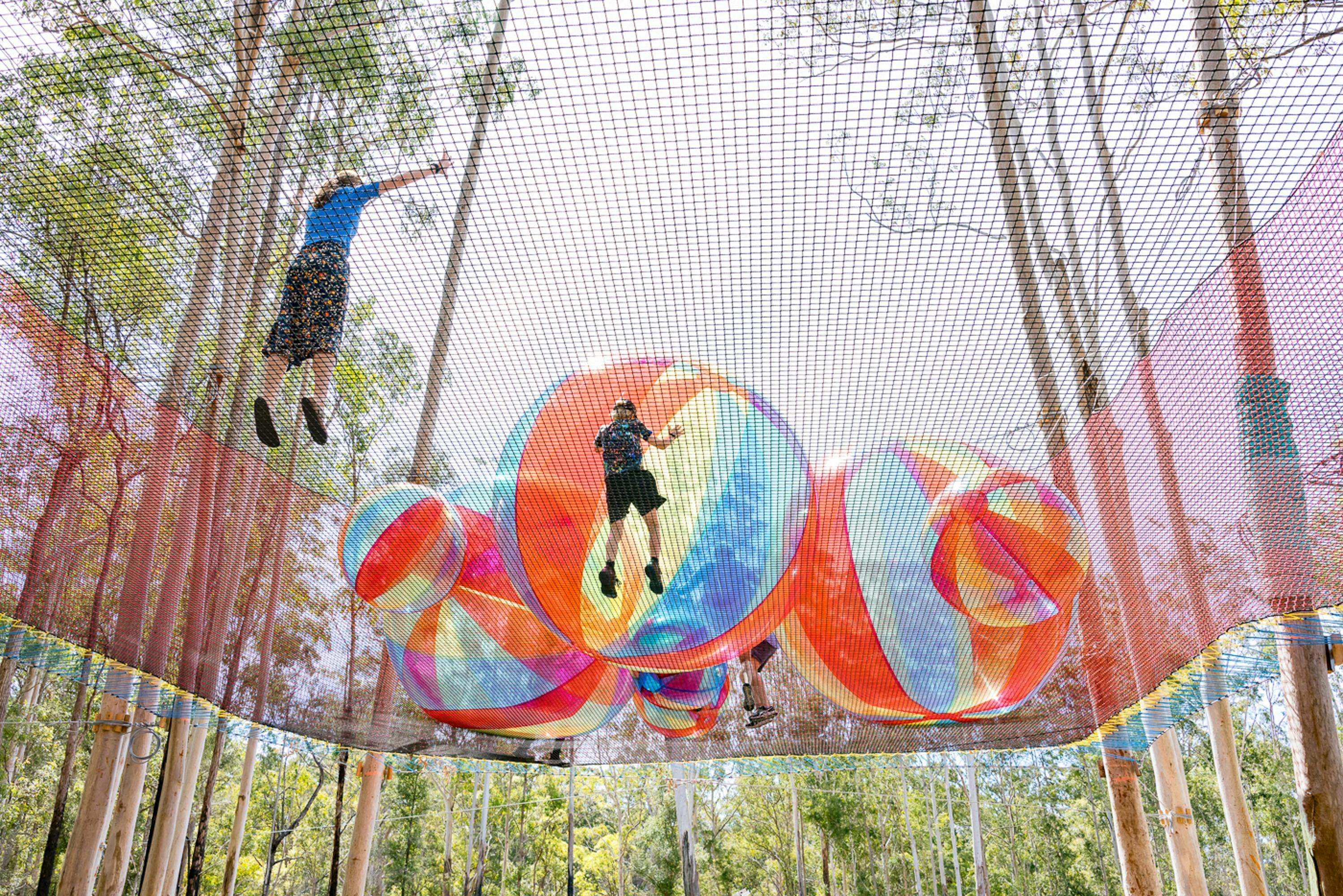 Guulabaa - Place of Koala, Cowarra State Forest