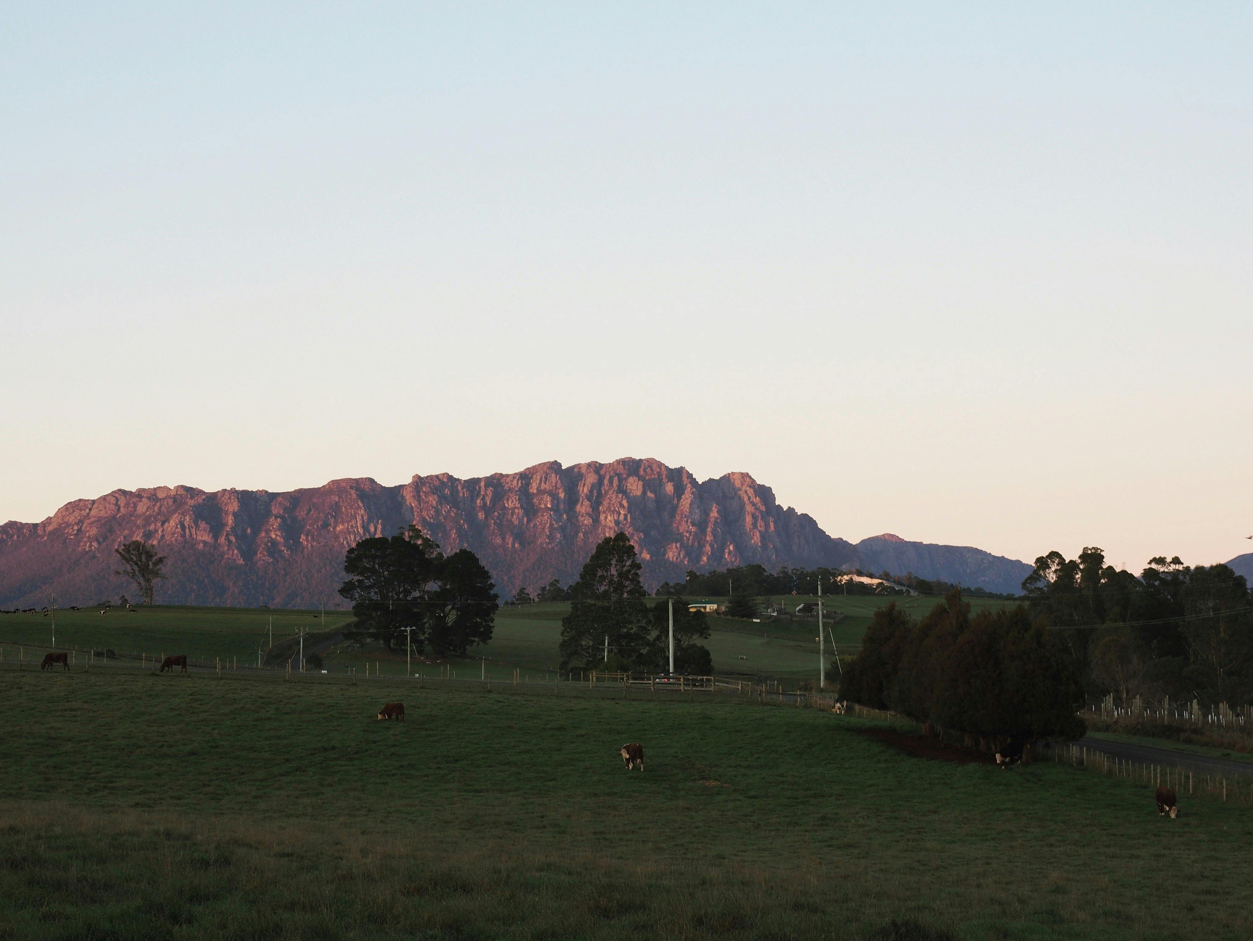 Mount Roland from Sheffield