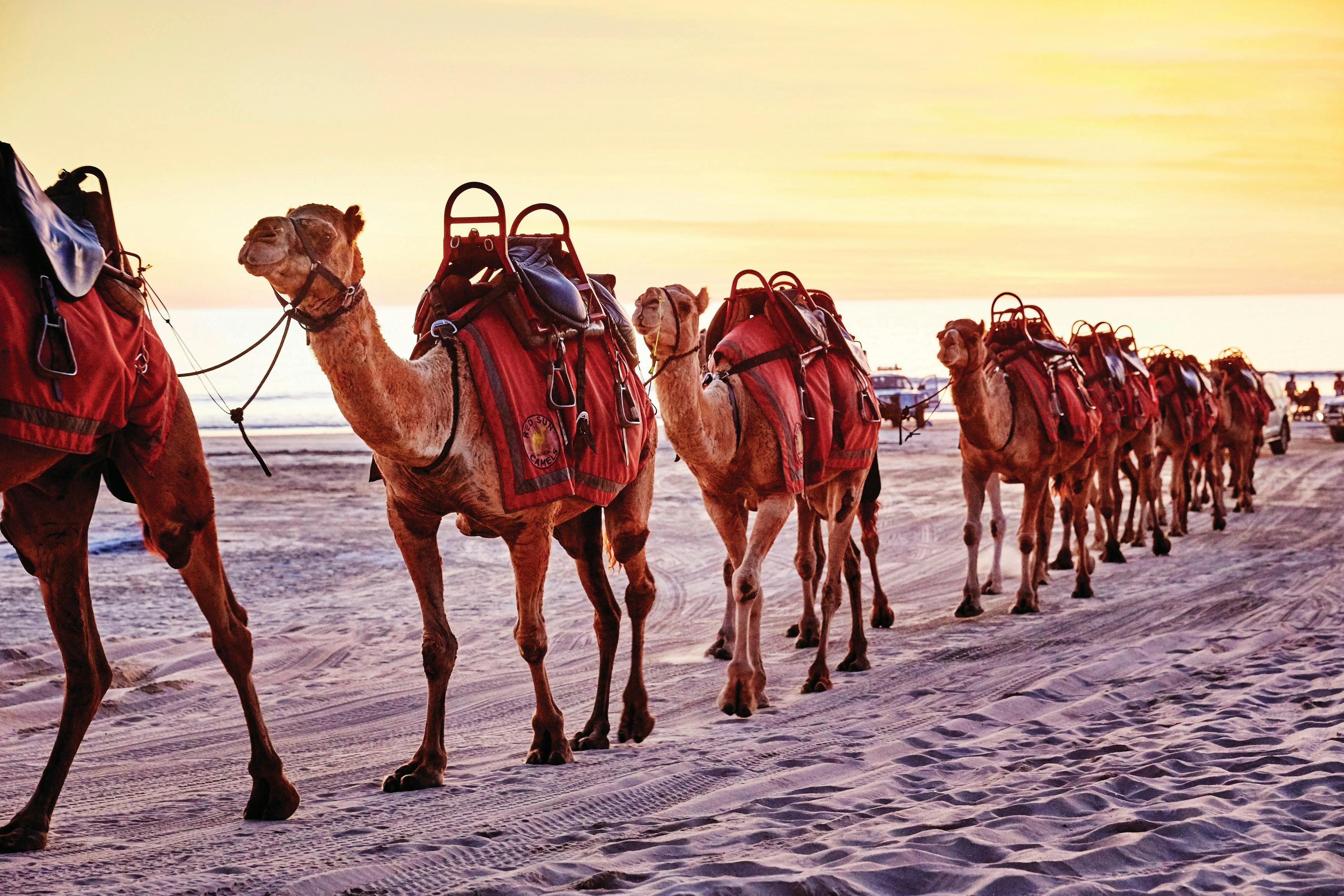 Perth to Broome itinerary, Broome, Western Australia