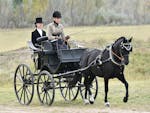 Two people in period dress in a black carriage being pulled by a black horse along a dirt road