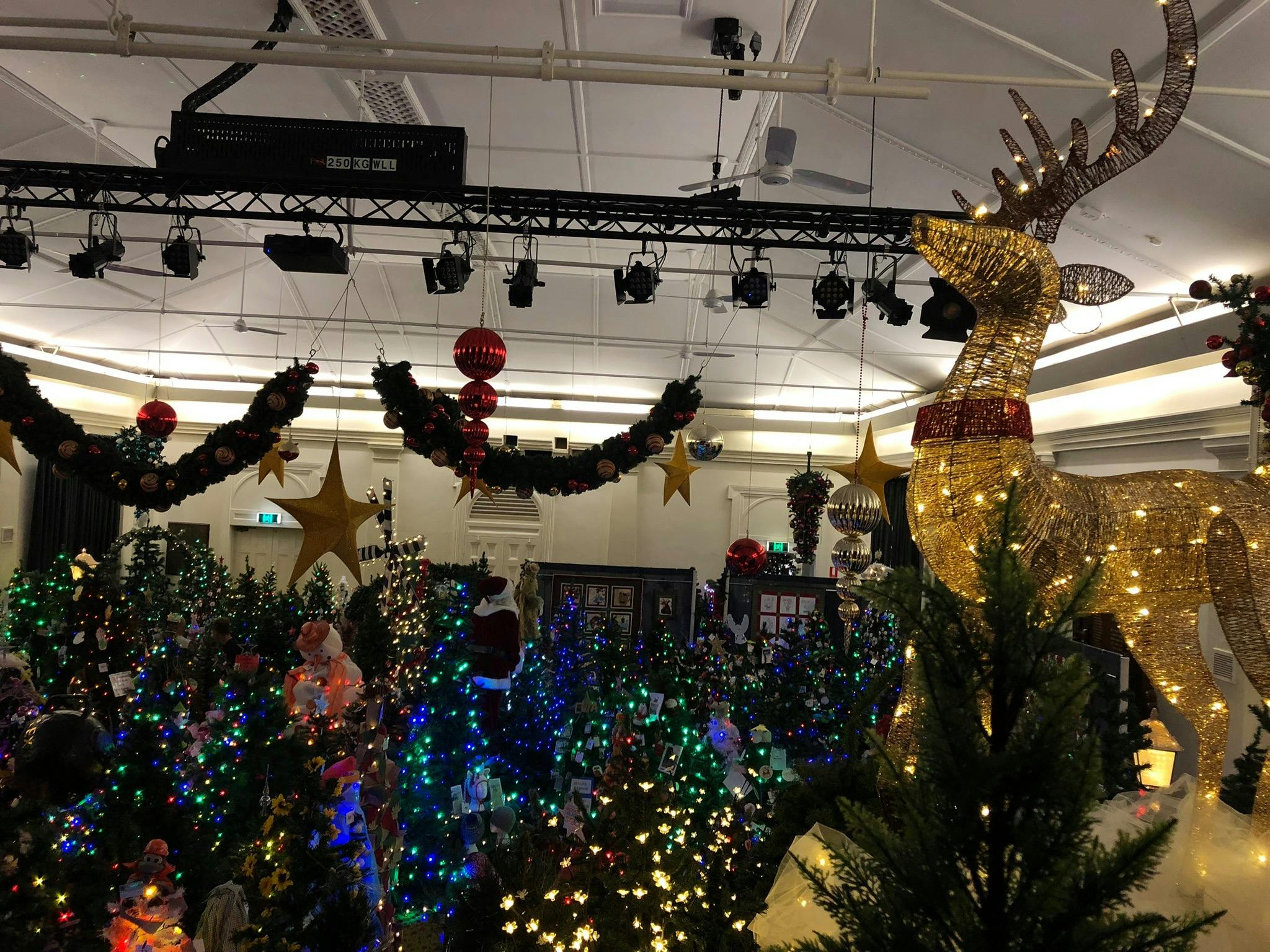 Alexandra Community Christmas Tree Festival