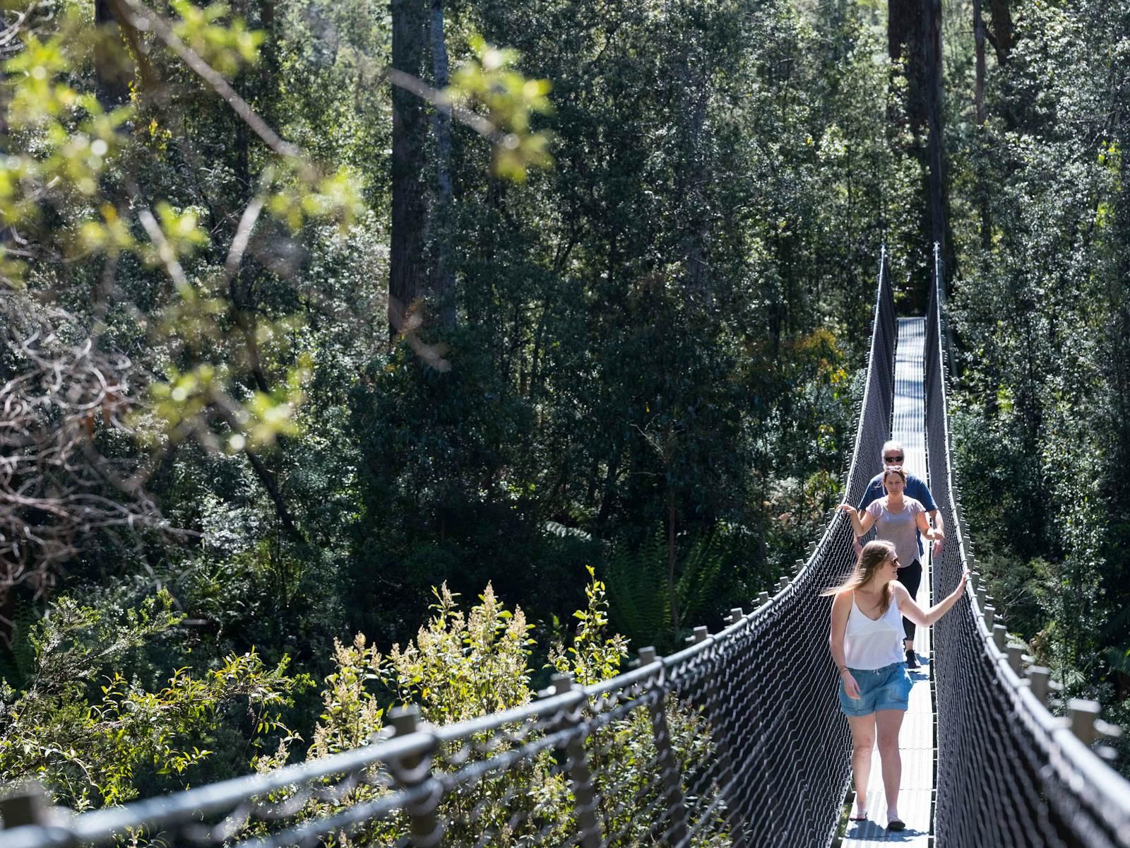 Swinging Bridges walk over the Picton River located at Tahune Adventures Tasmania