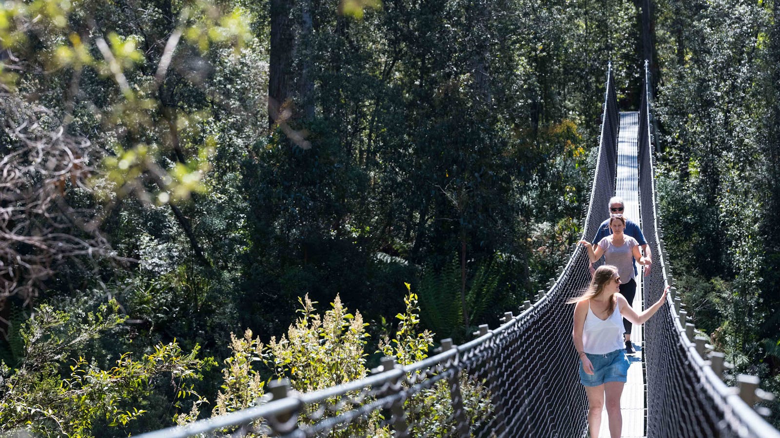 Swinging Bridges walk located at Tahune Adventures Tasmania