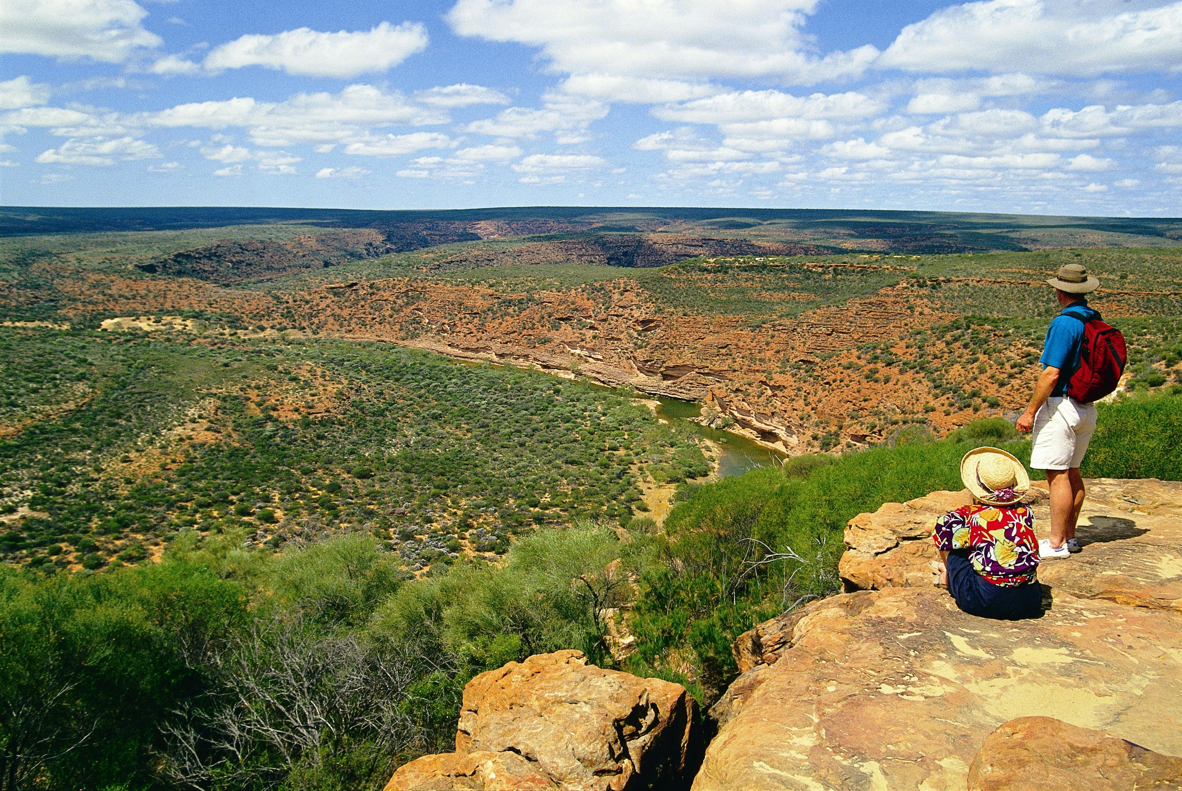 Hawks Head
