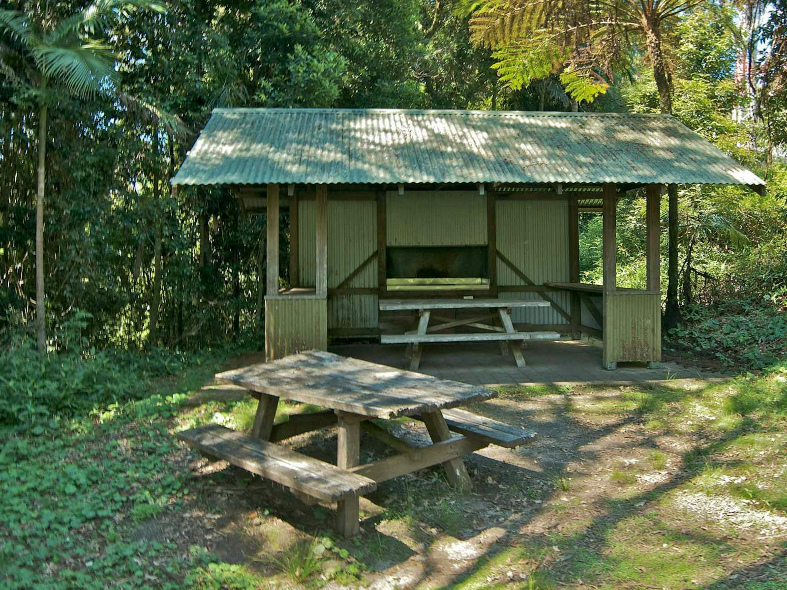 納爾迪山野餐區，睡帽國家公園。照片：約翰斯賓塞