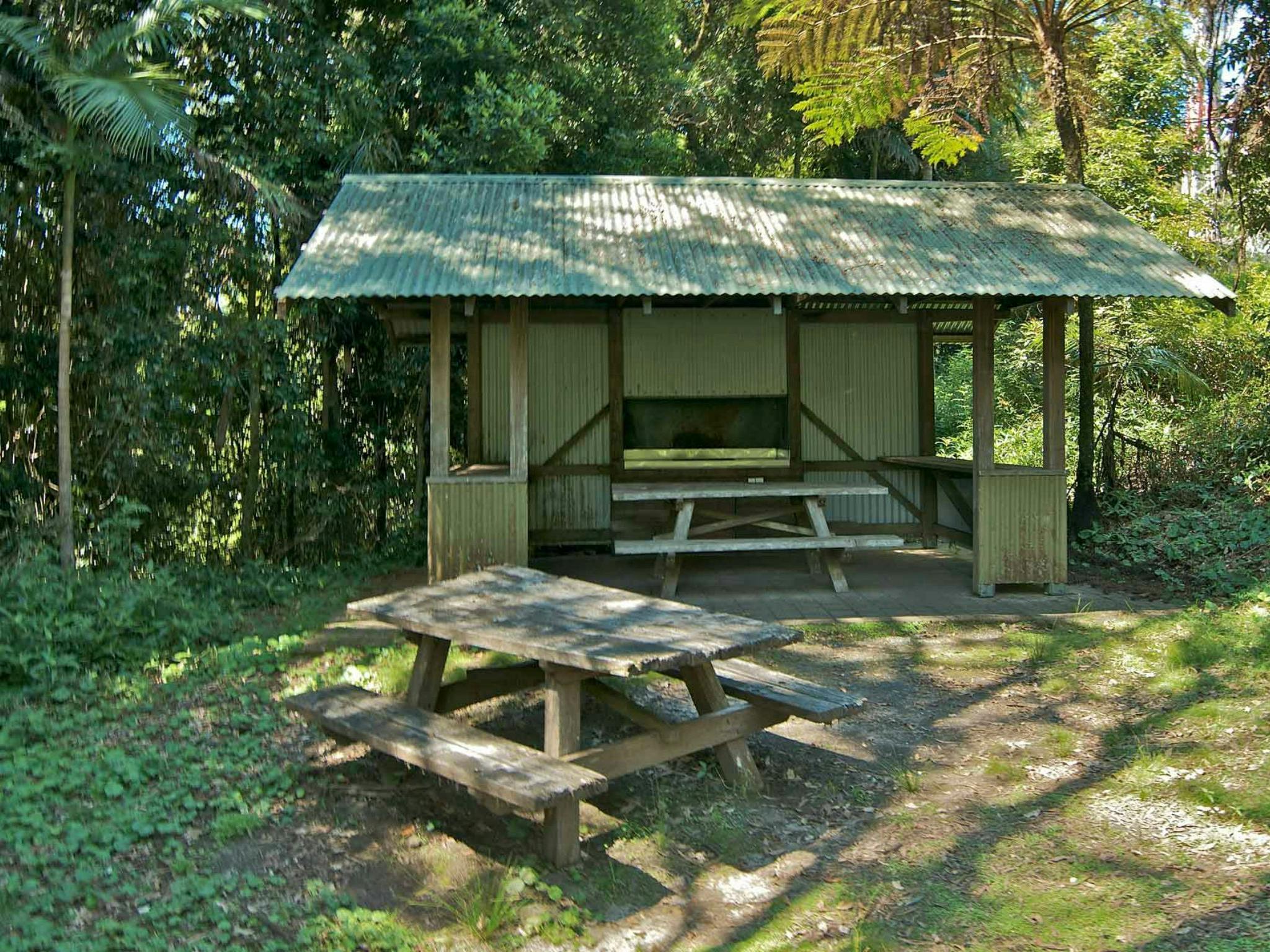 Mount Nardi picnic area, Nightcap National Park. Photo: John Spencer