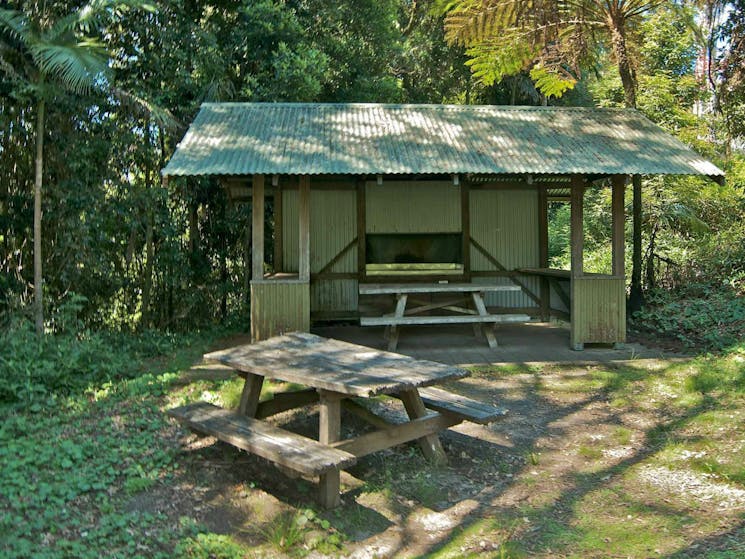 Mount Nardi picnic area, Nightcap National Park. Photo: John Spencer