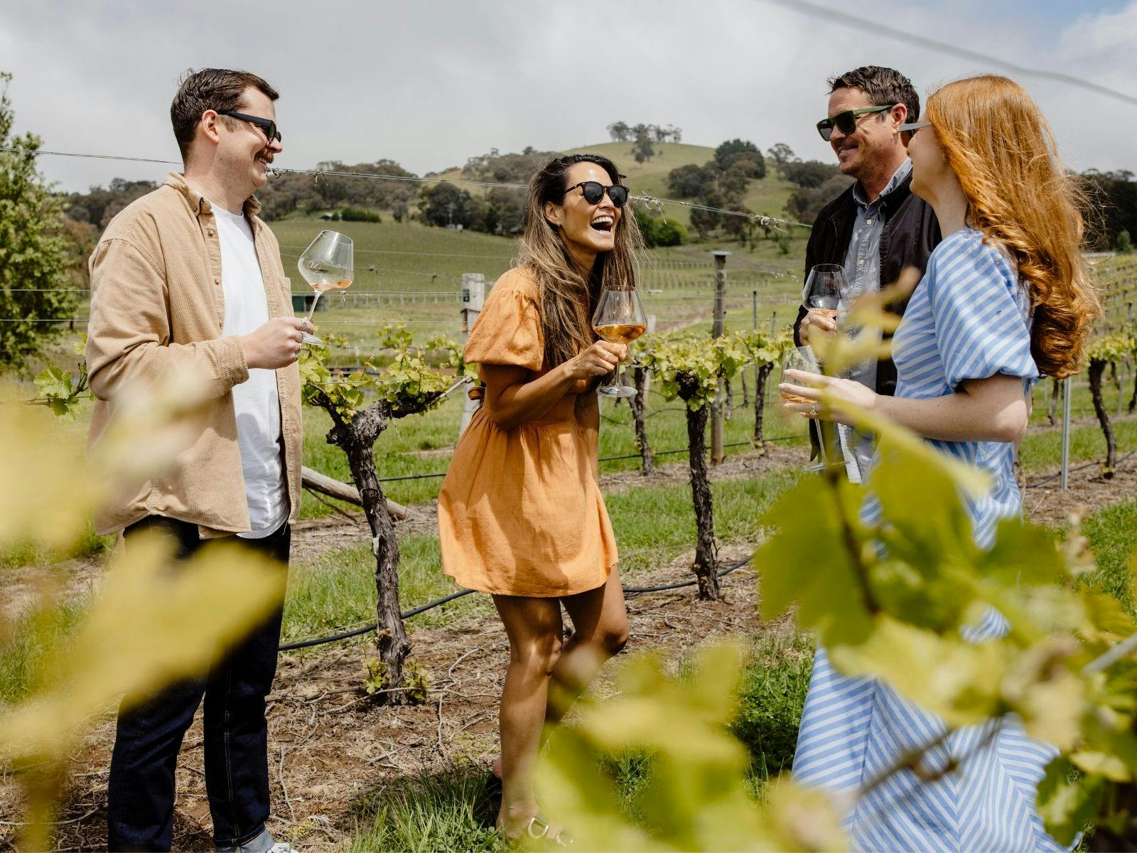 포도원 시음 투어