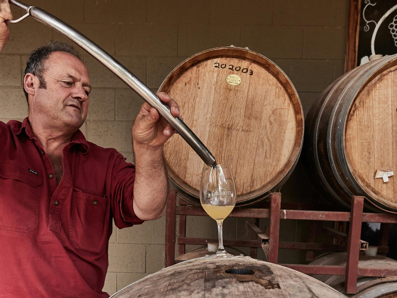 A man pouring wine into a wine glass out of a thief in front of barrels