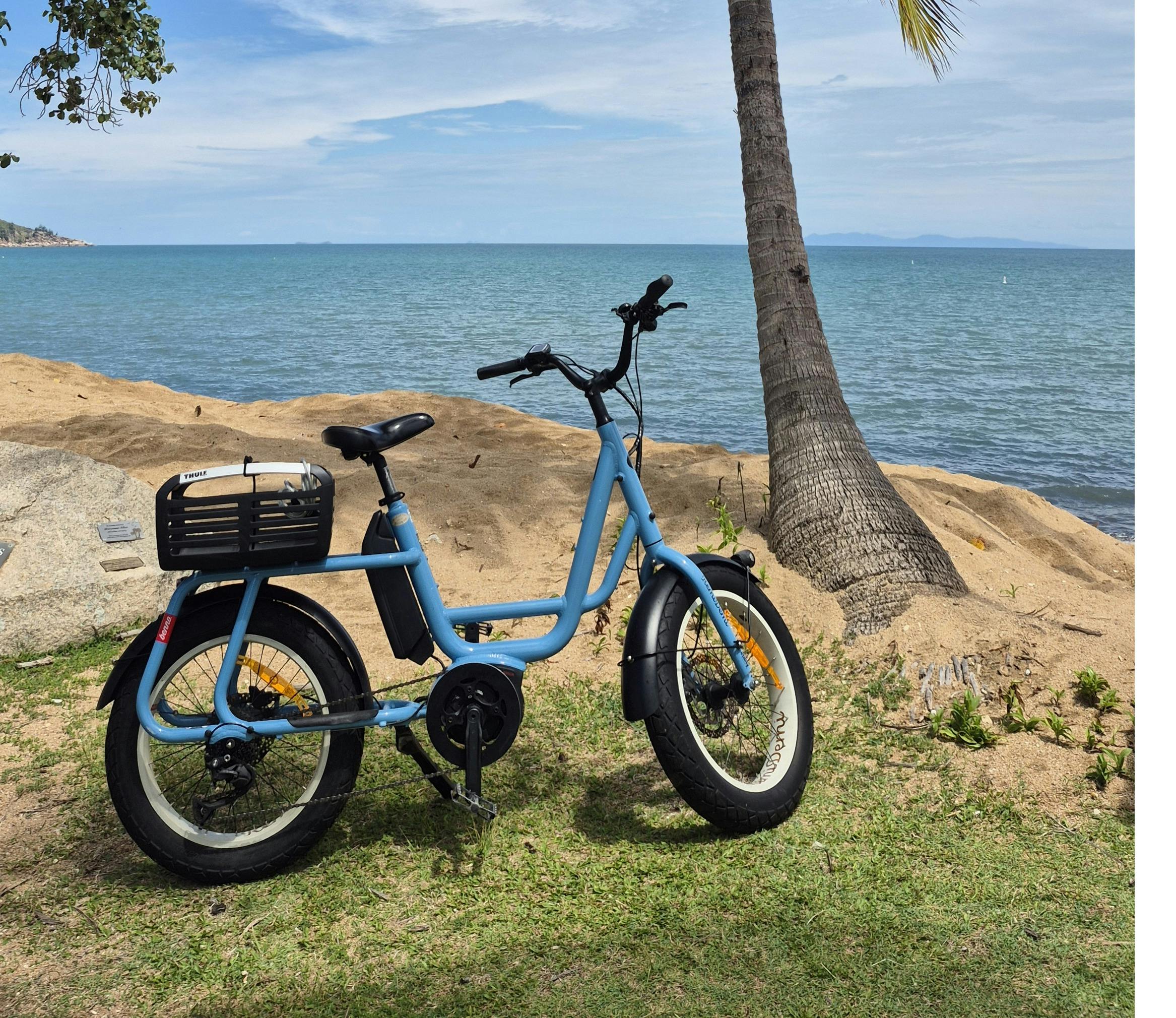Beach Bicycle