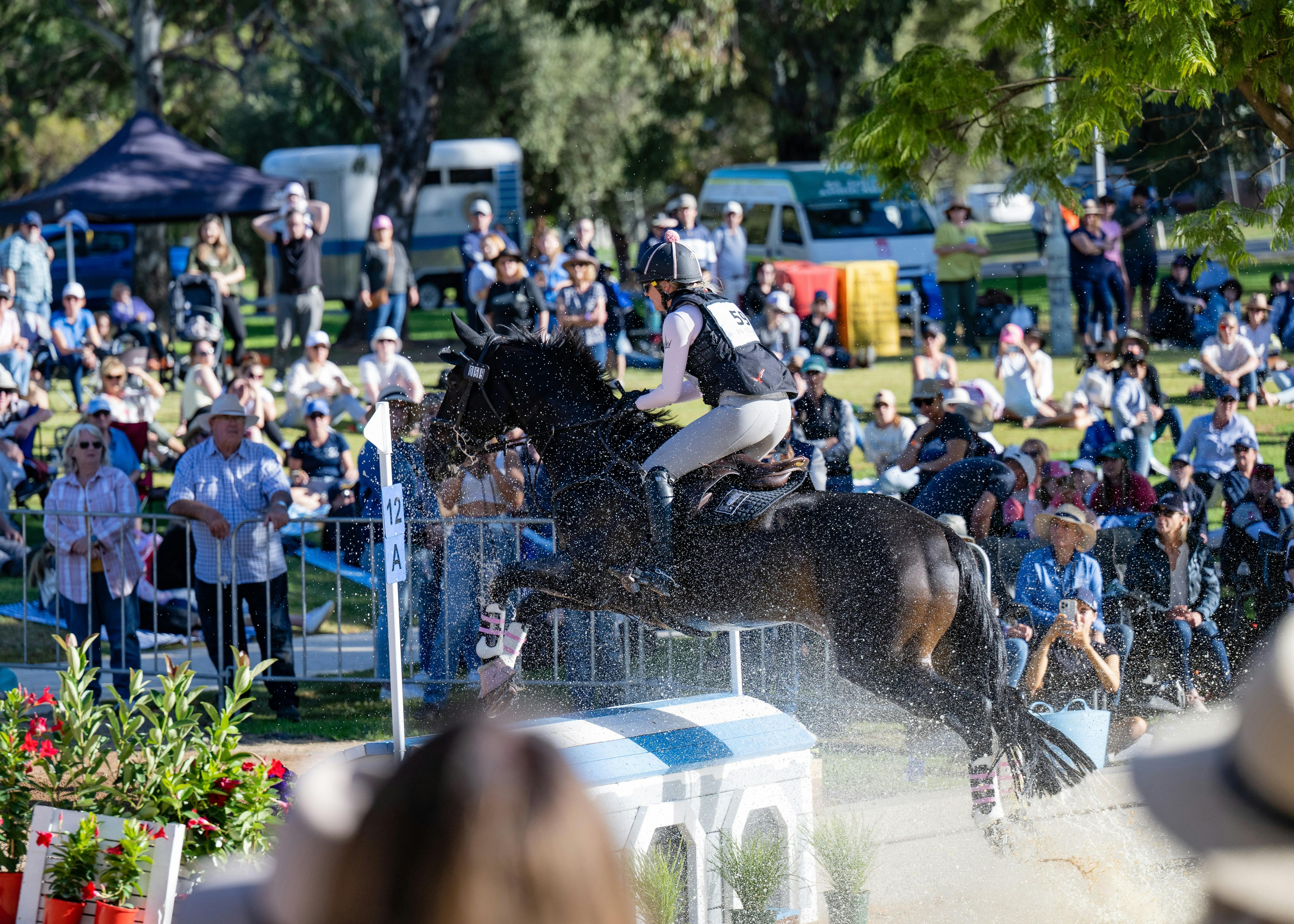 Adelaide Equestrian Festival Cross Country Day
