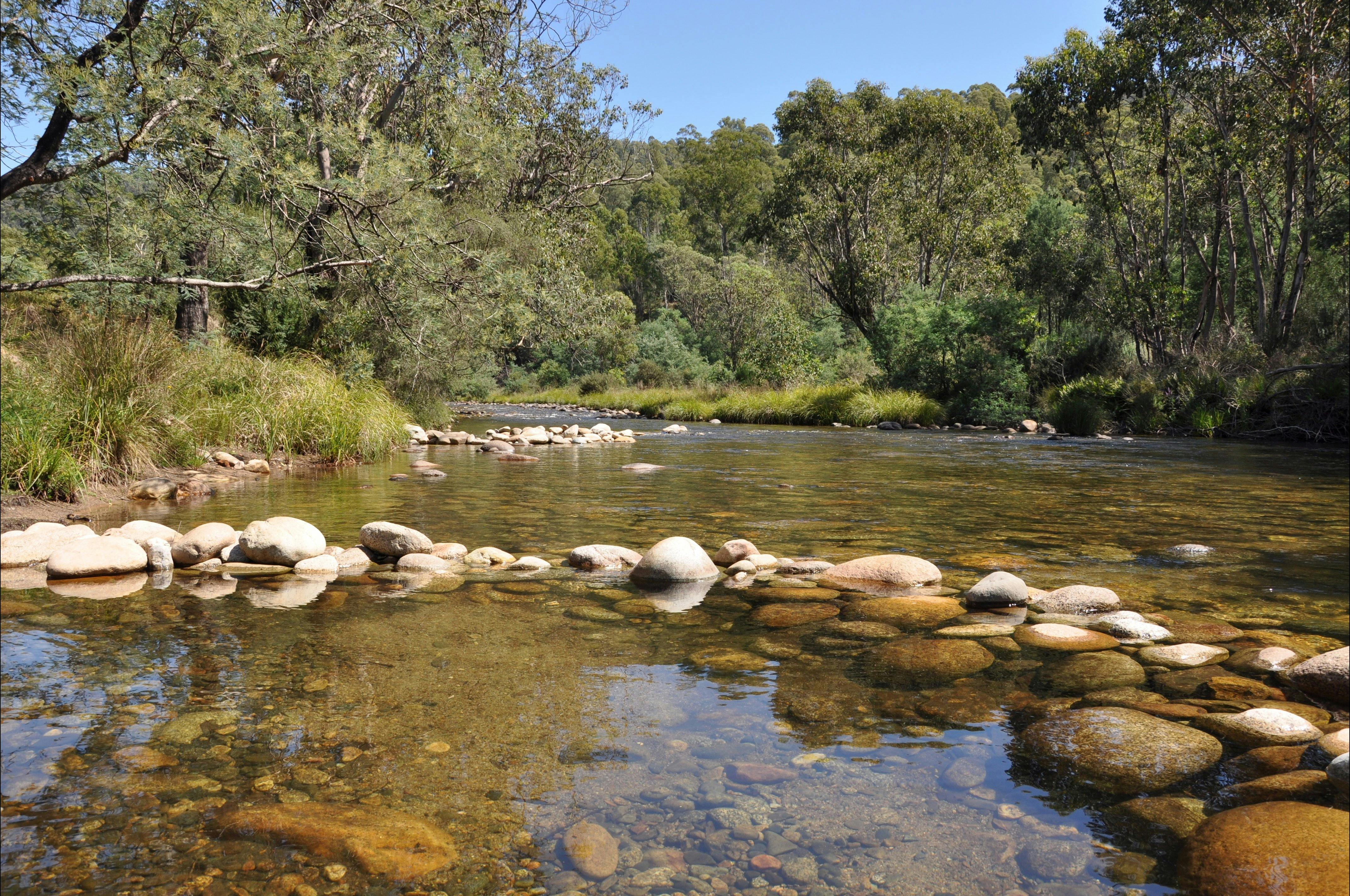 Geehi Rest Area - Swampy Plains River