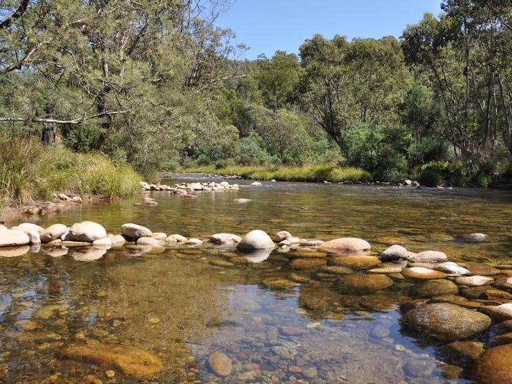 Geehi Rest Area - Swampy Plains River