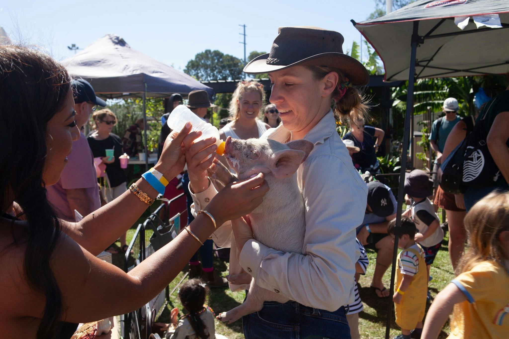 Multicultural Fiesta