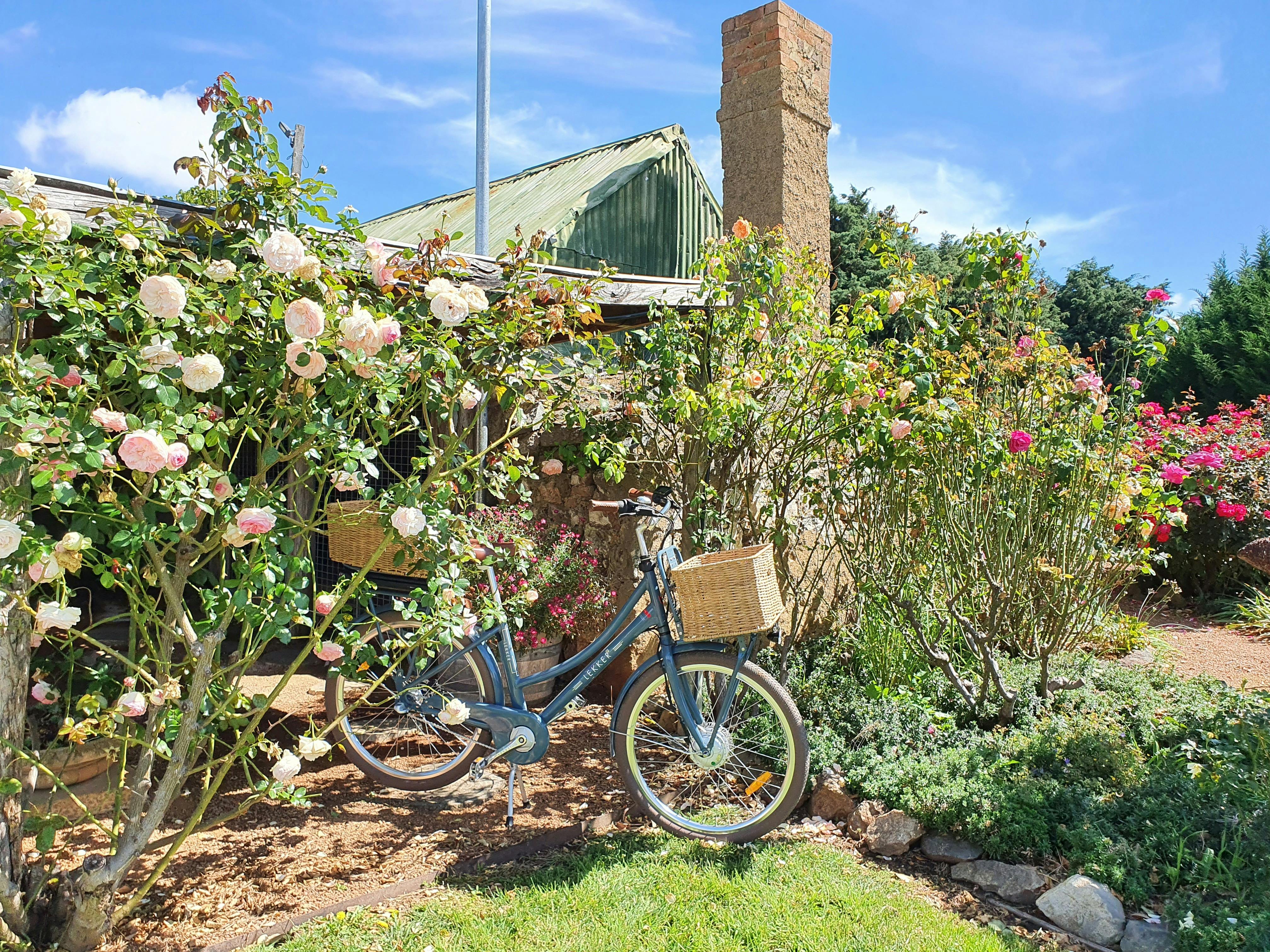 Image for Canberra Wine Region E-Bike Tours