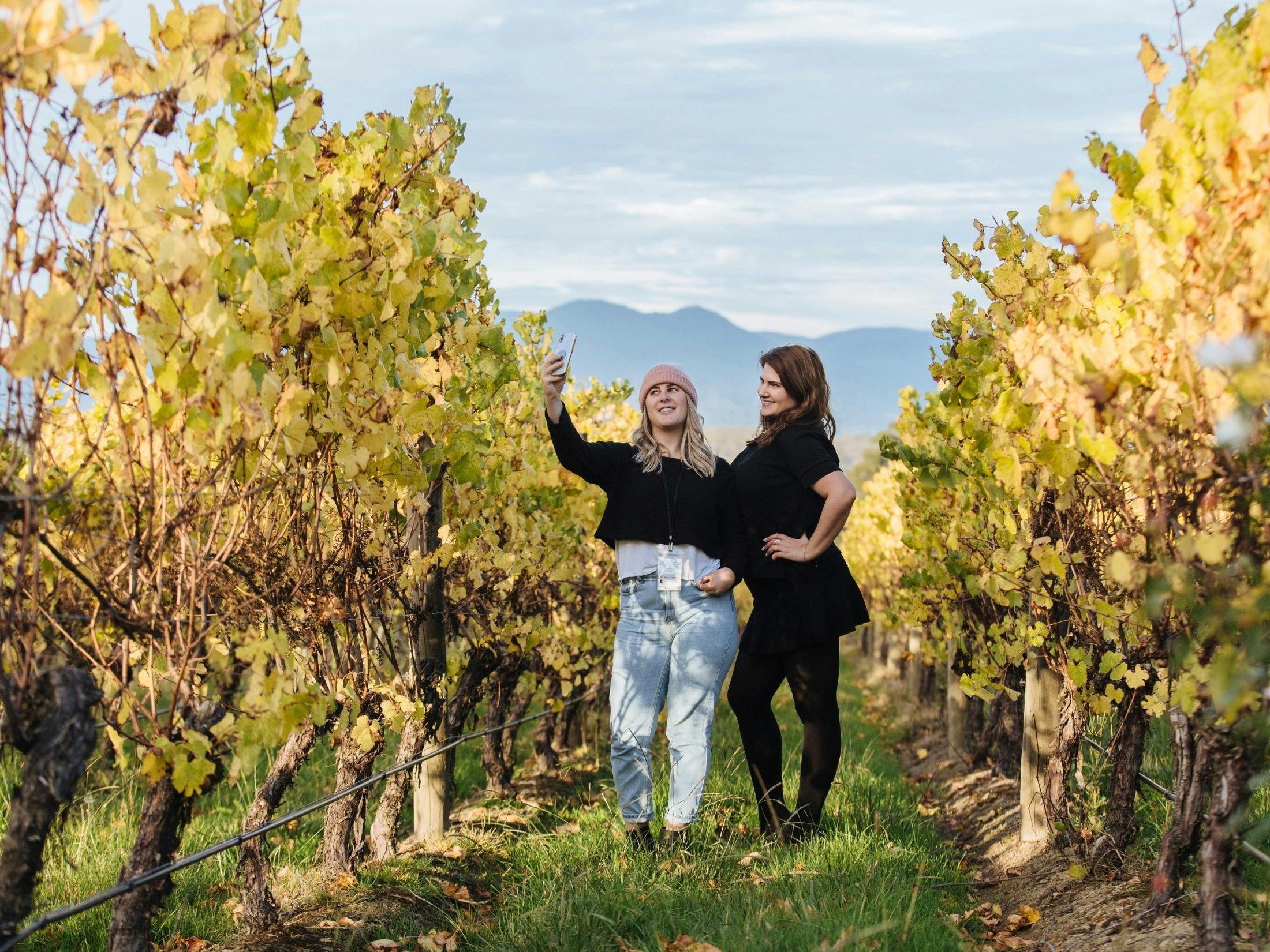 Yarra Valley Winter Hop-On Hop-Off Wine Tour