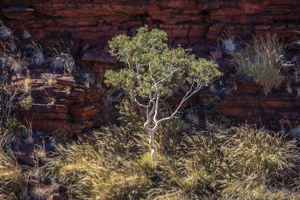 Weano Gorge