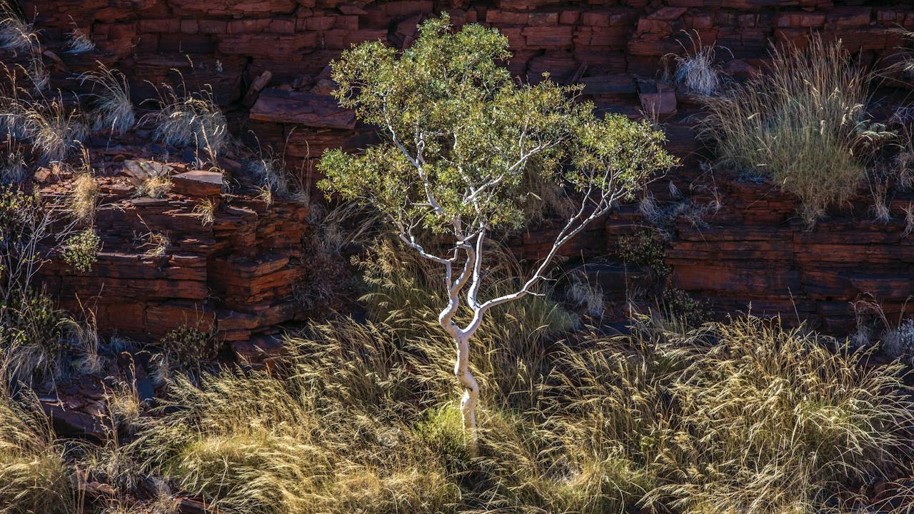 Weano Gorge, Karijini National Park