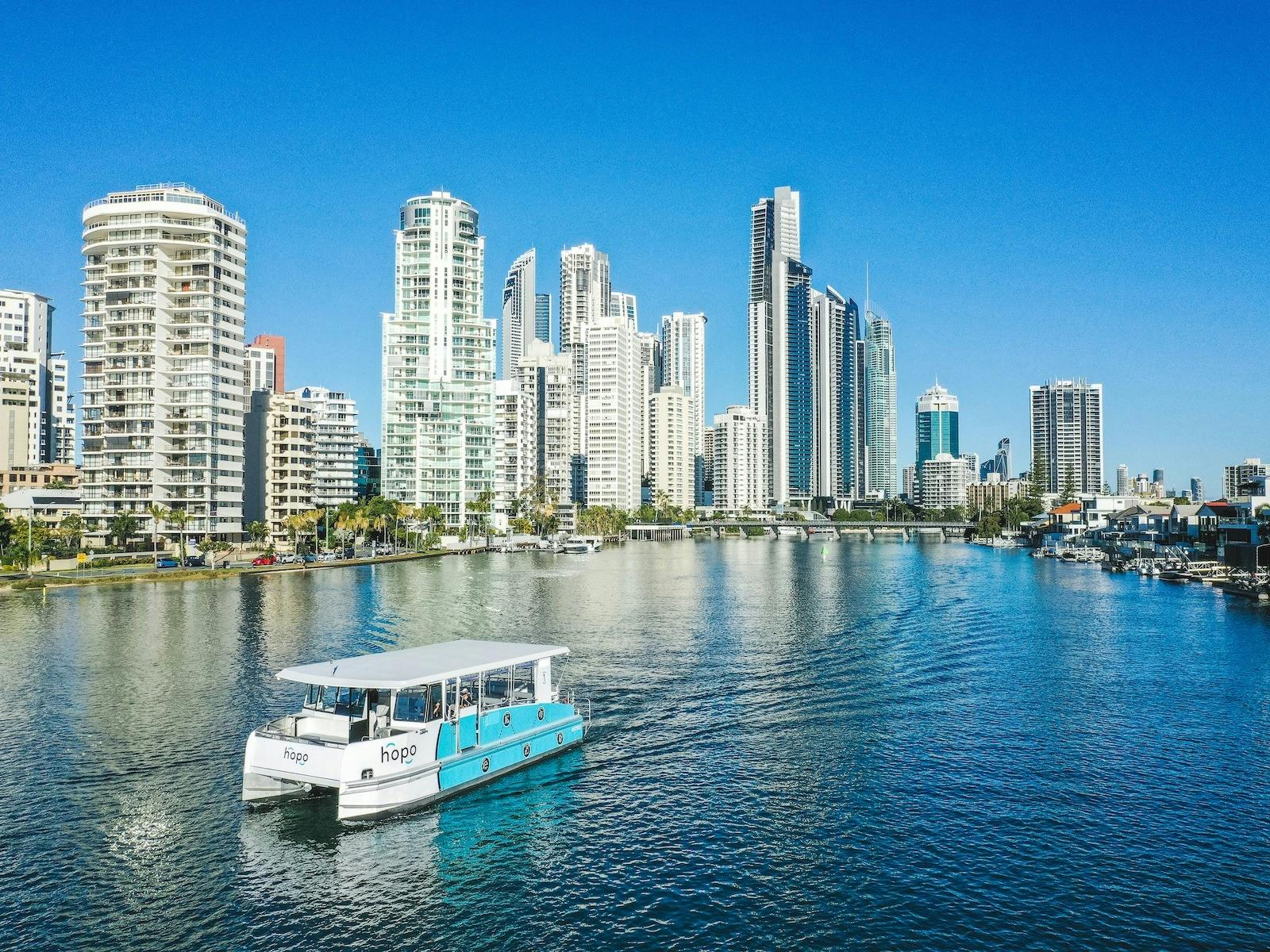 Hopo with Surfers Paradise skyline