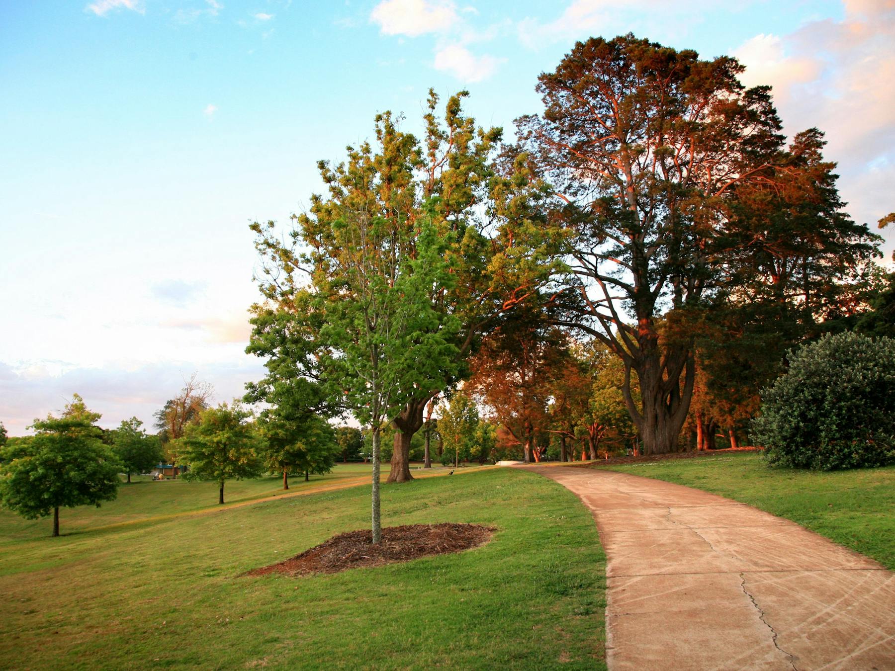 Queens Park, Toowoomba