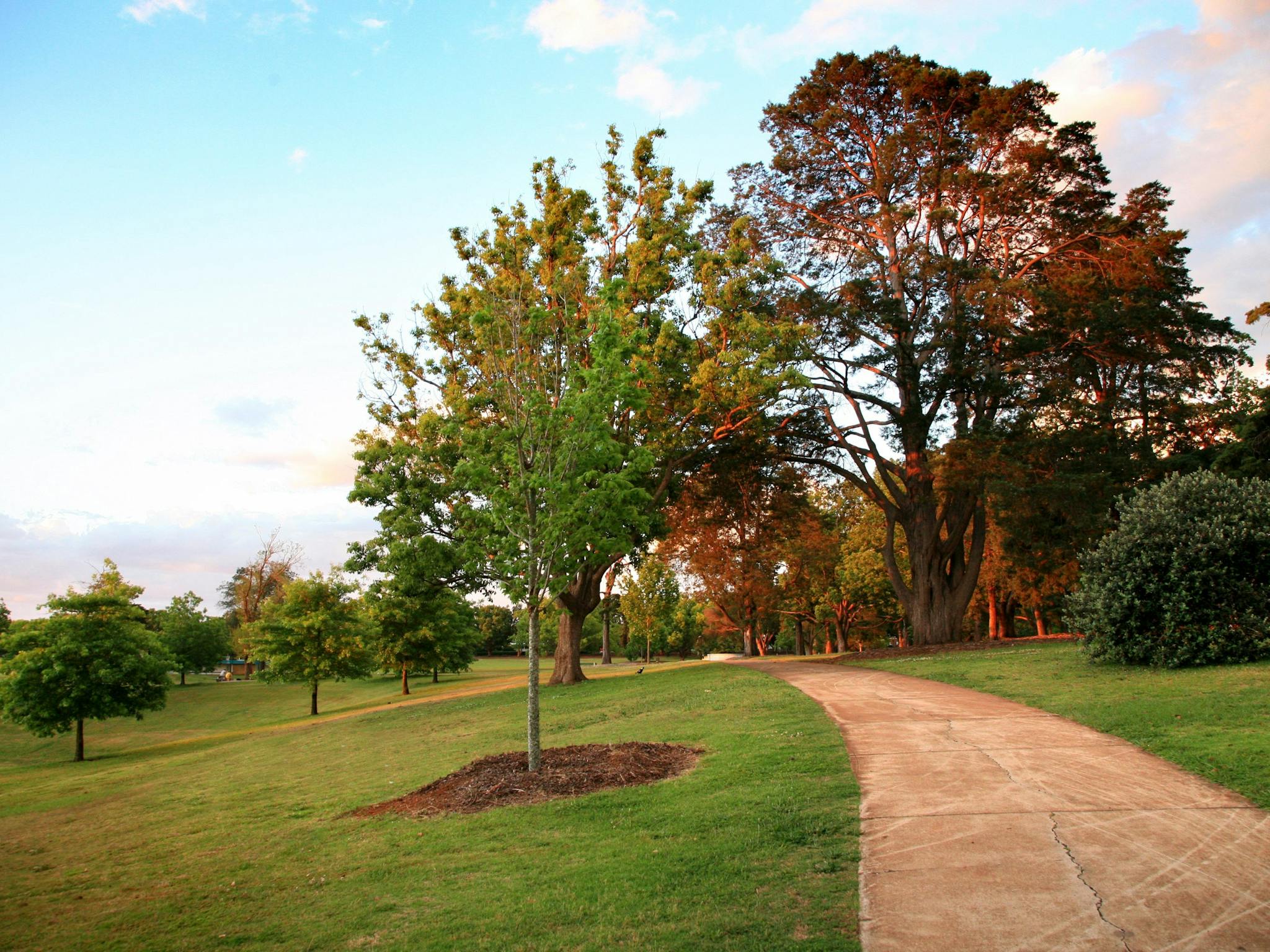 Queens Park, Toowoomba