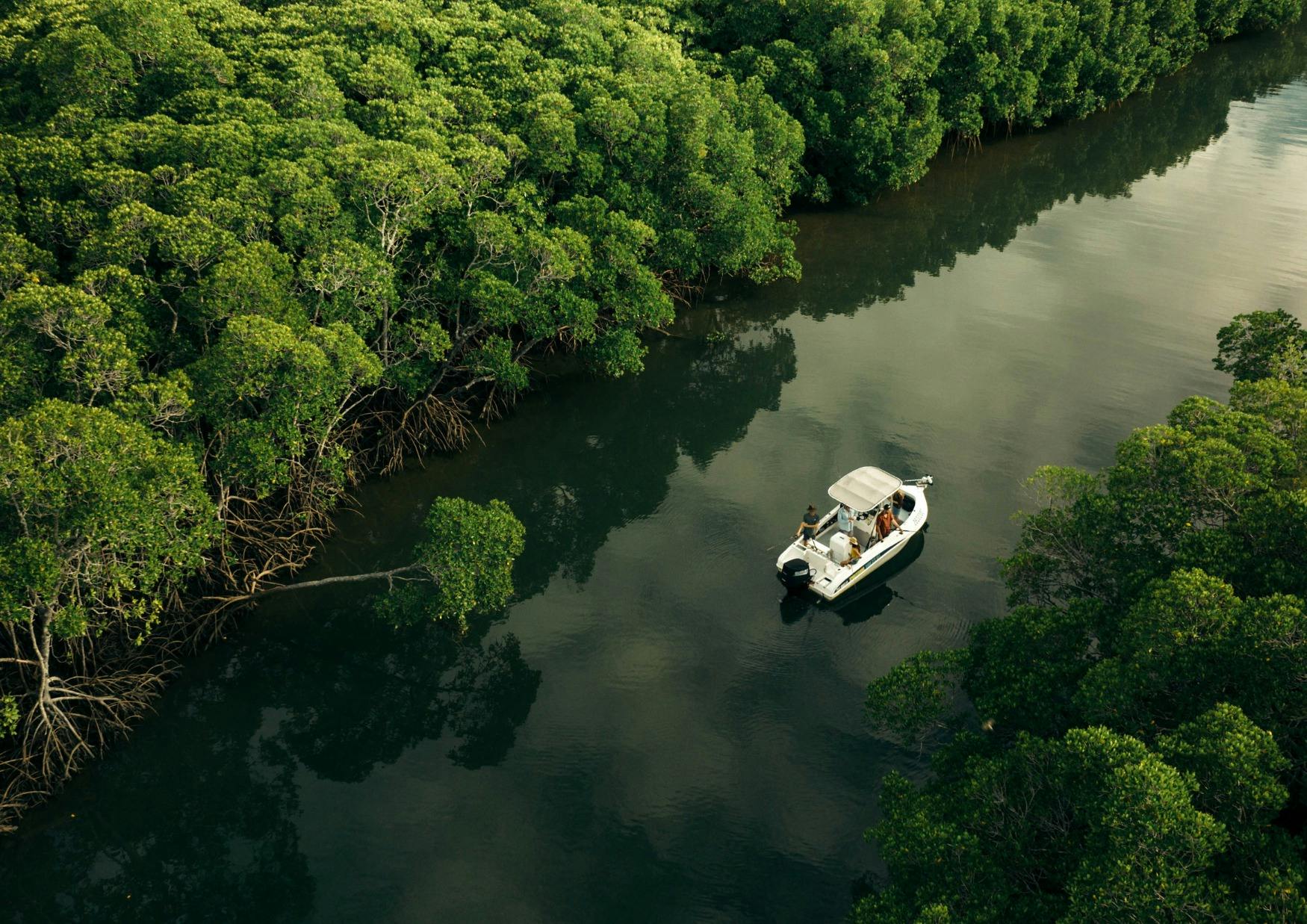 Daintree River