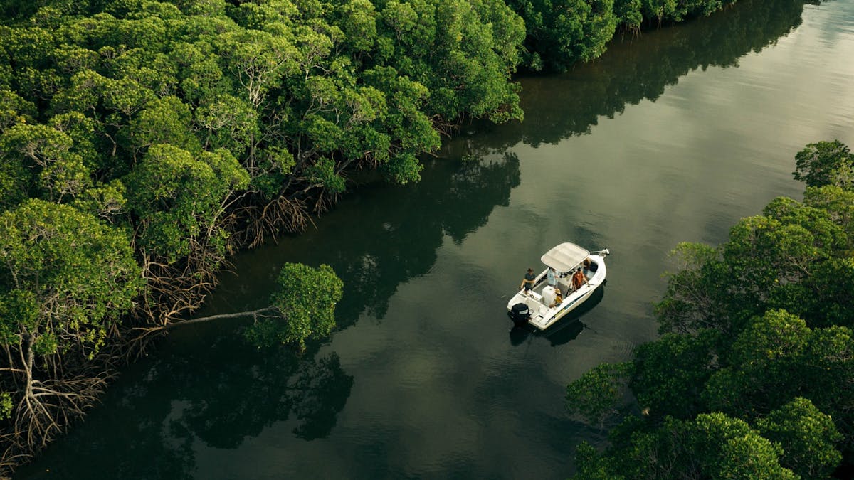 Daintree River
